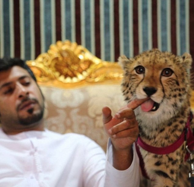 Nha giau Dubai nuoi su tu anh 6