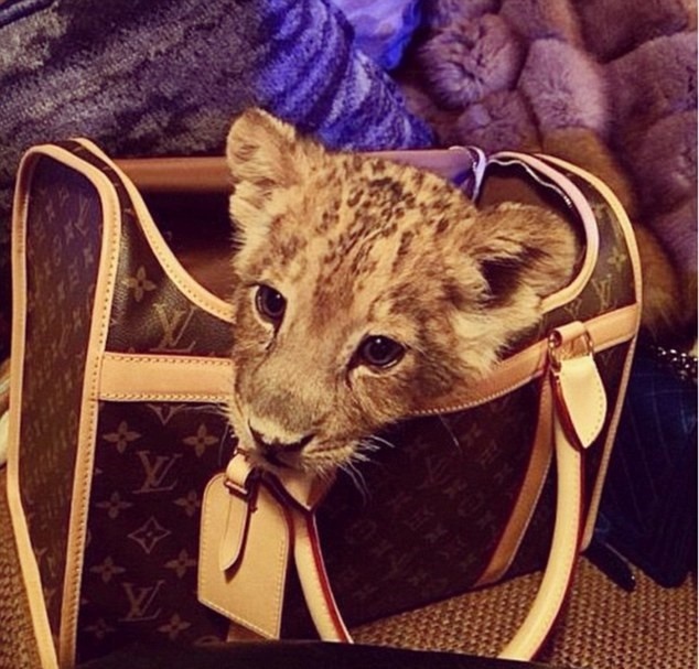 Nha giau Dubai nuoi su tu anh 1