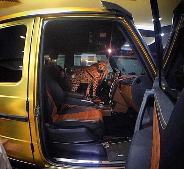 Nha giau Dubai nuoi su tu anh 4