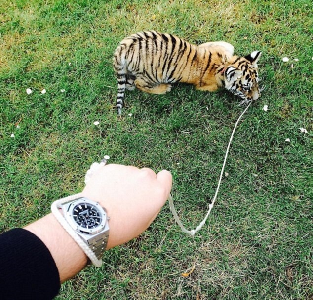 Nha giau Dubai nuoi su tu anh 5