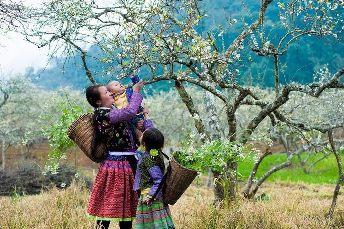 Khach san o Moc Chau chay phong dip Tet Nguyen dan 2019 hinh anh