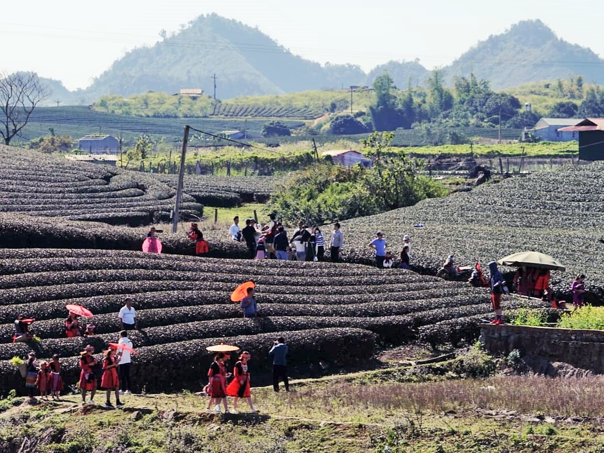 Du lich dau nam 2019 anh 8