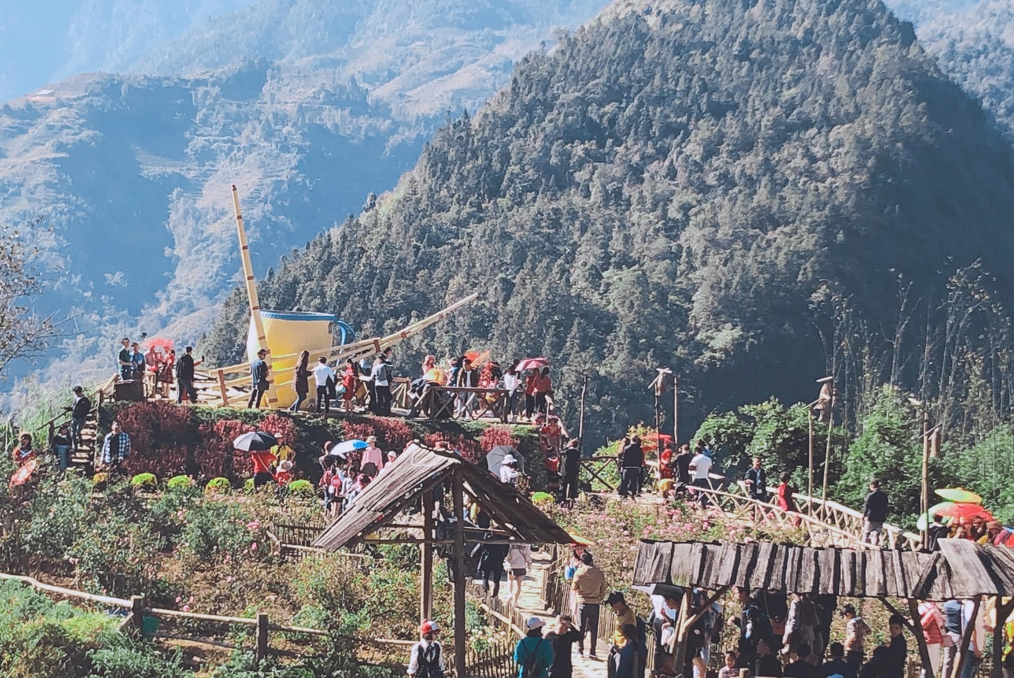 Du lich dau nam 2019 anh 5