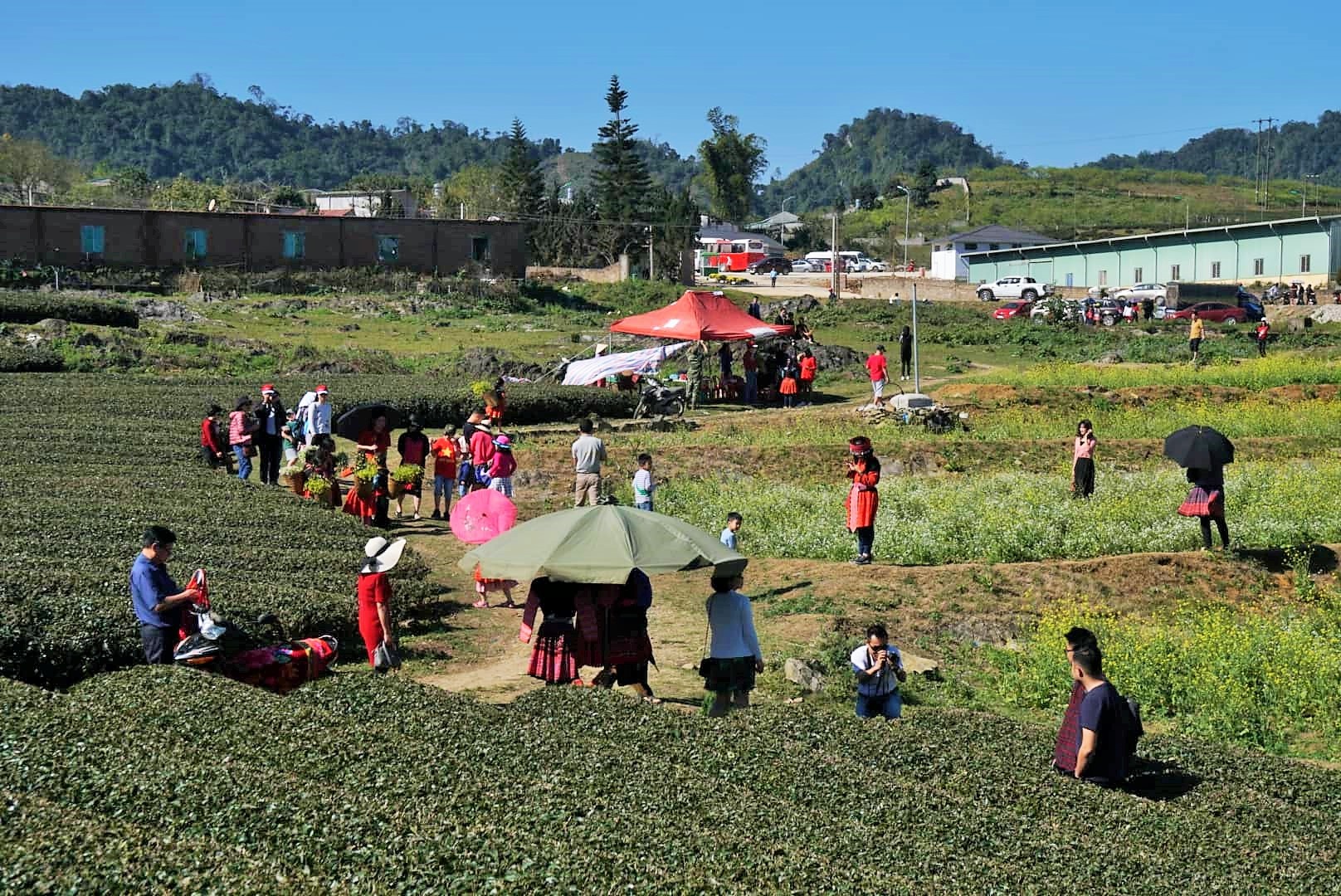 Du lich dau nam 2019 anh 10