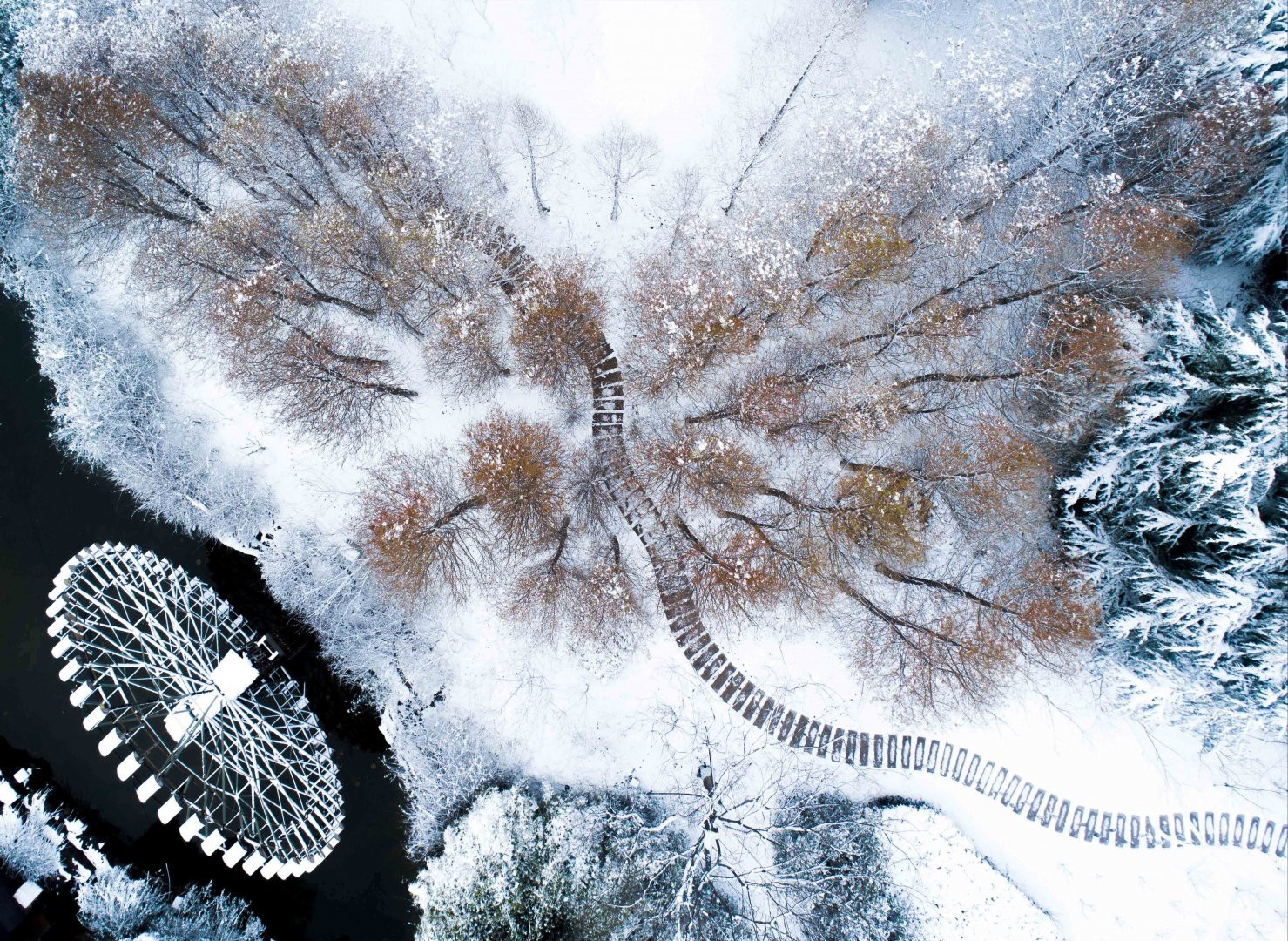 Khung canh mua xuan lanh gia, tuyet phu trang troi o Trung Quoc hinh anh