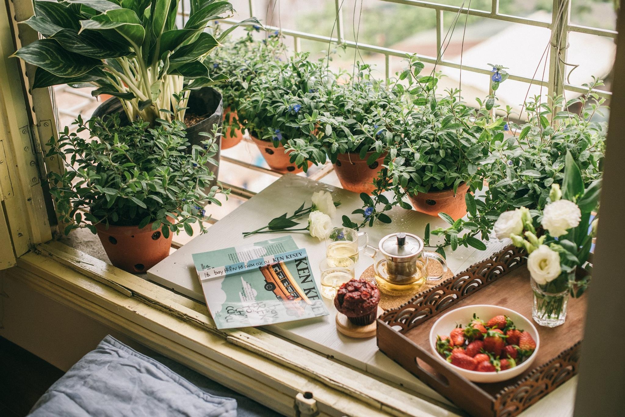 Homestay Ha Noi anh 15