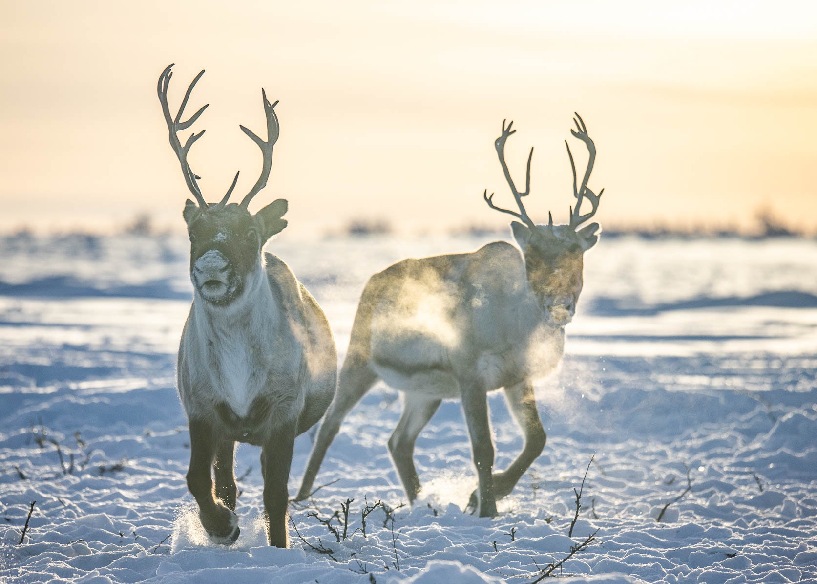 Du lich nuoc ngoai dip Tet Nguyen dan anh 4