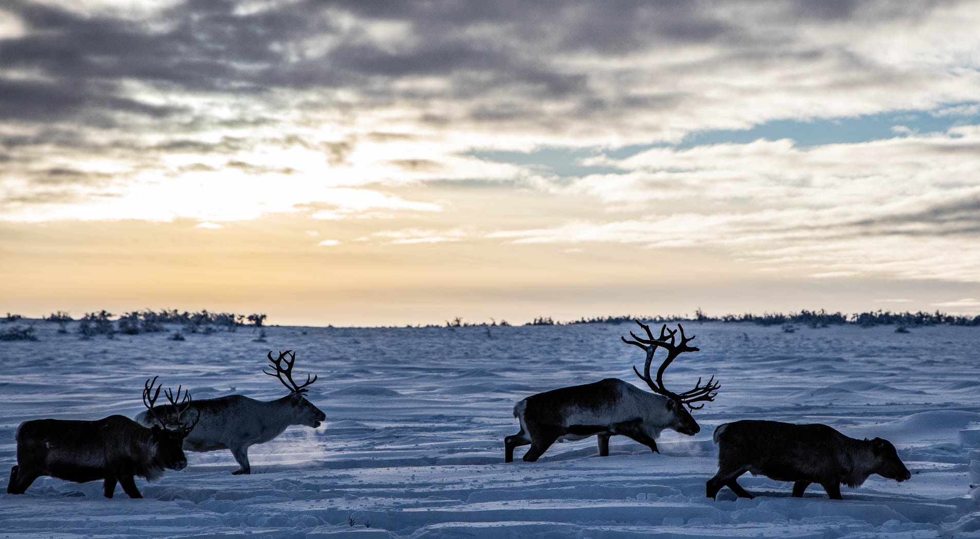 Du lich nuoc ngoai dip Tet Nguyen dan anh 6