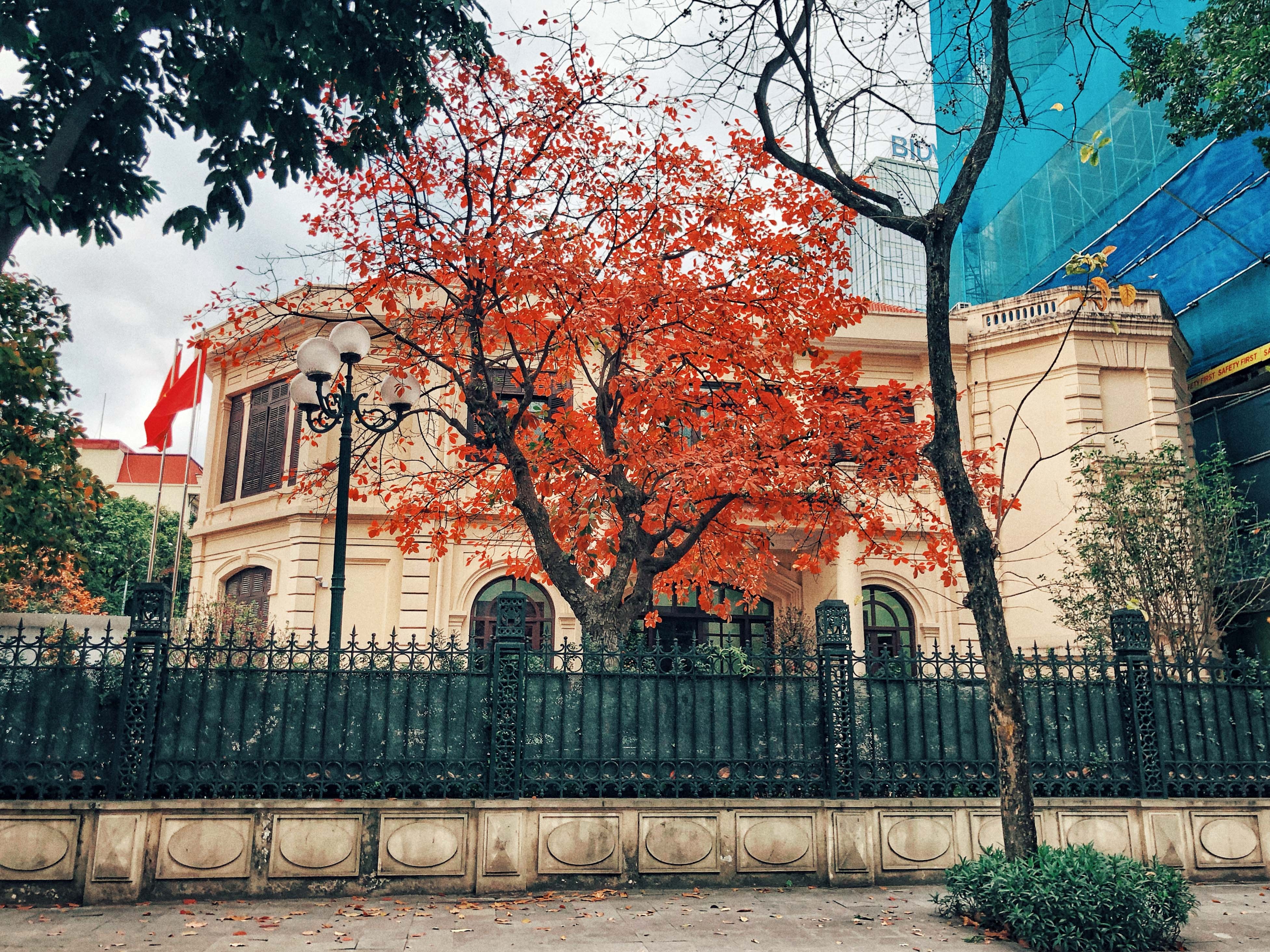 Ha Noi dep ngo ngang, tua troi Au mua thay la hinh anh