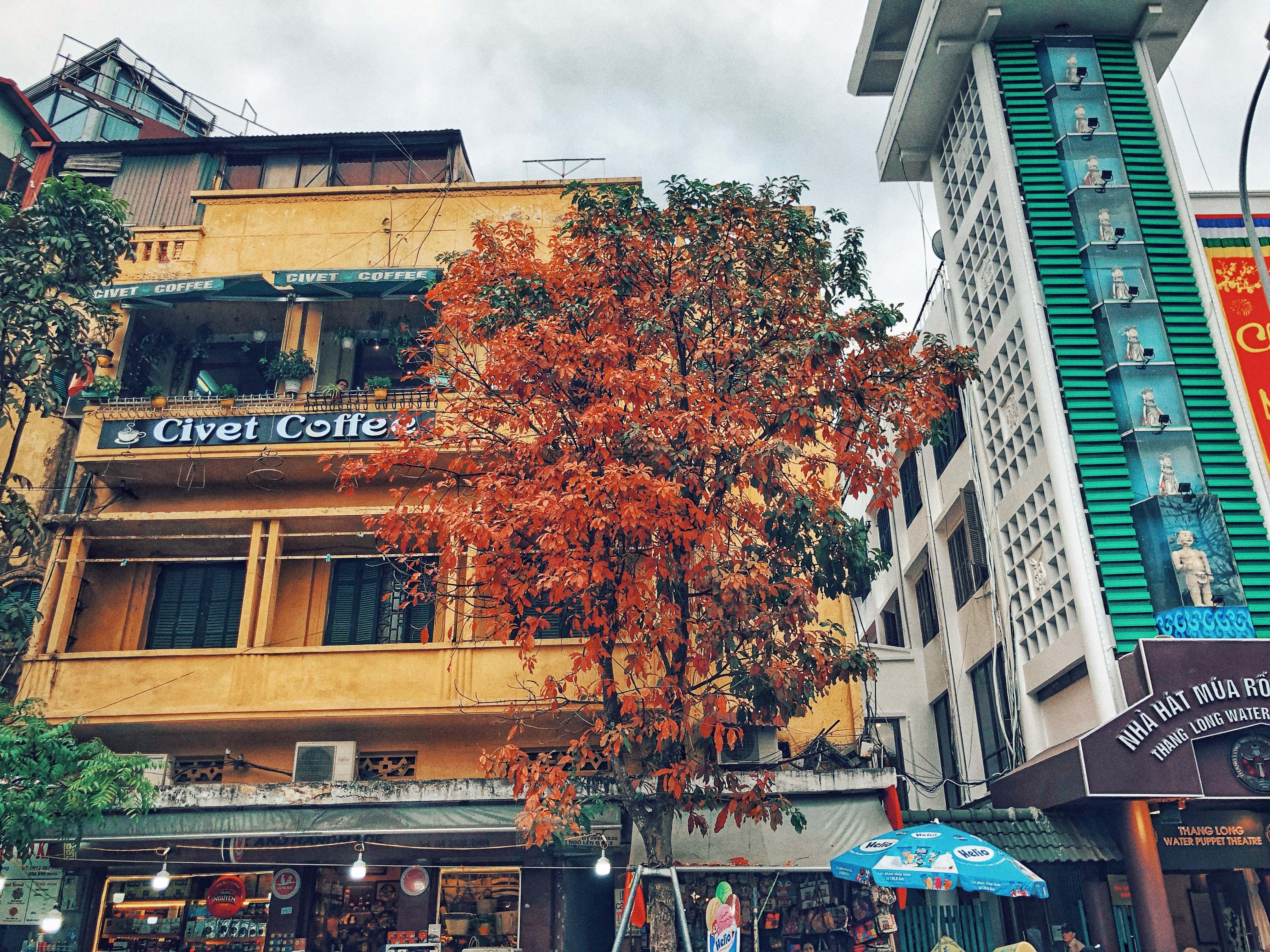 Ha Noi mua thay la anh 3