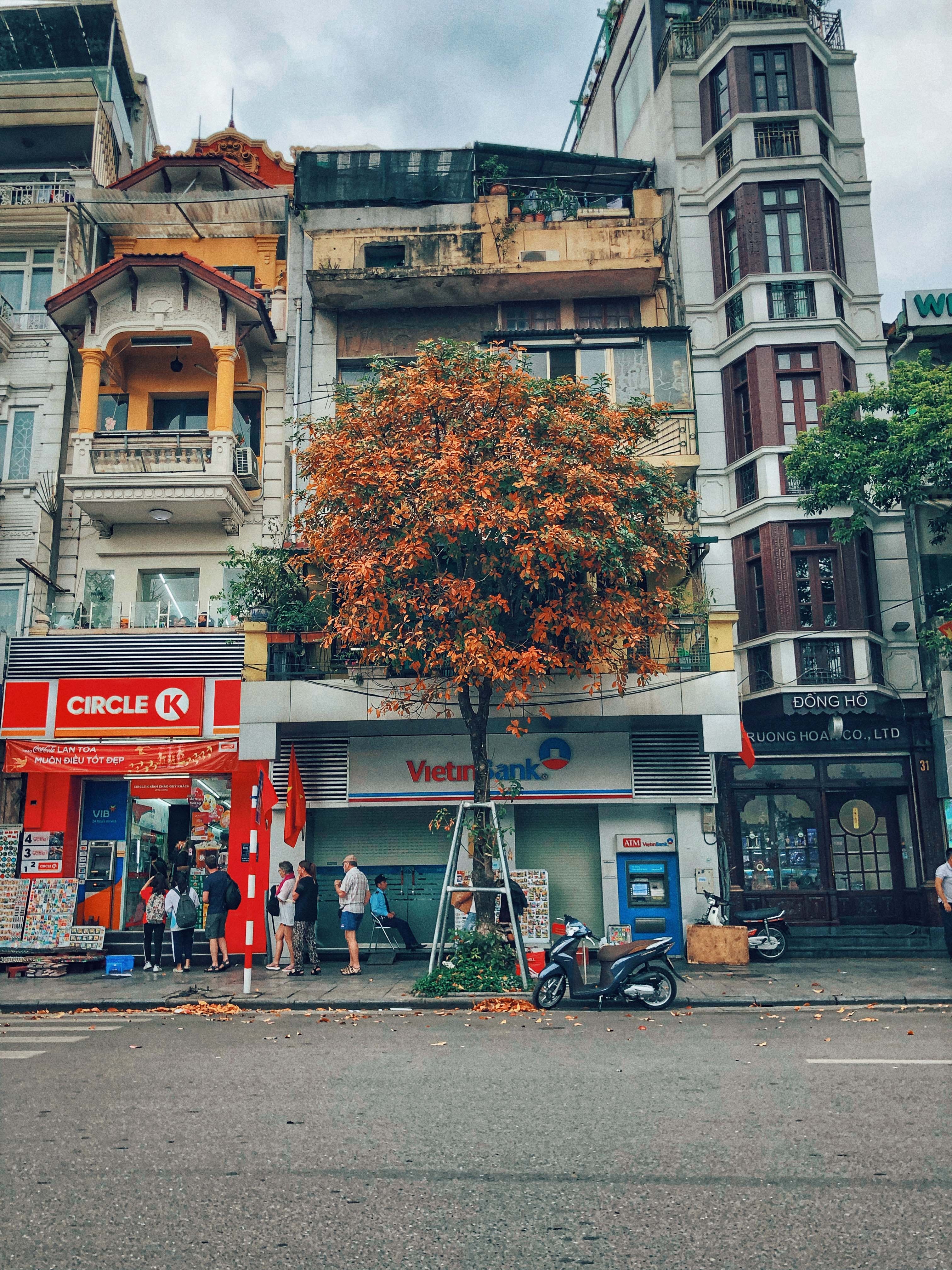 Ha Noi mua thay la anh 4