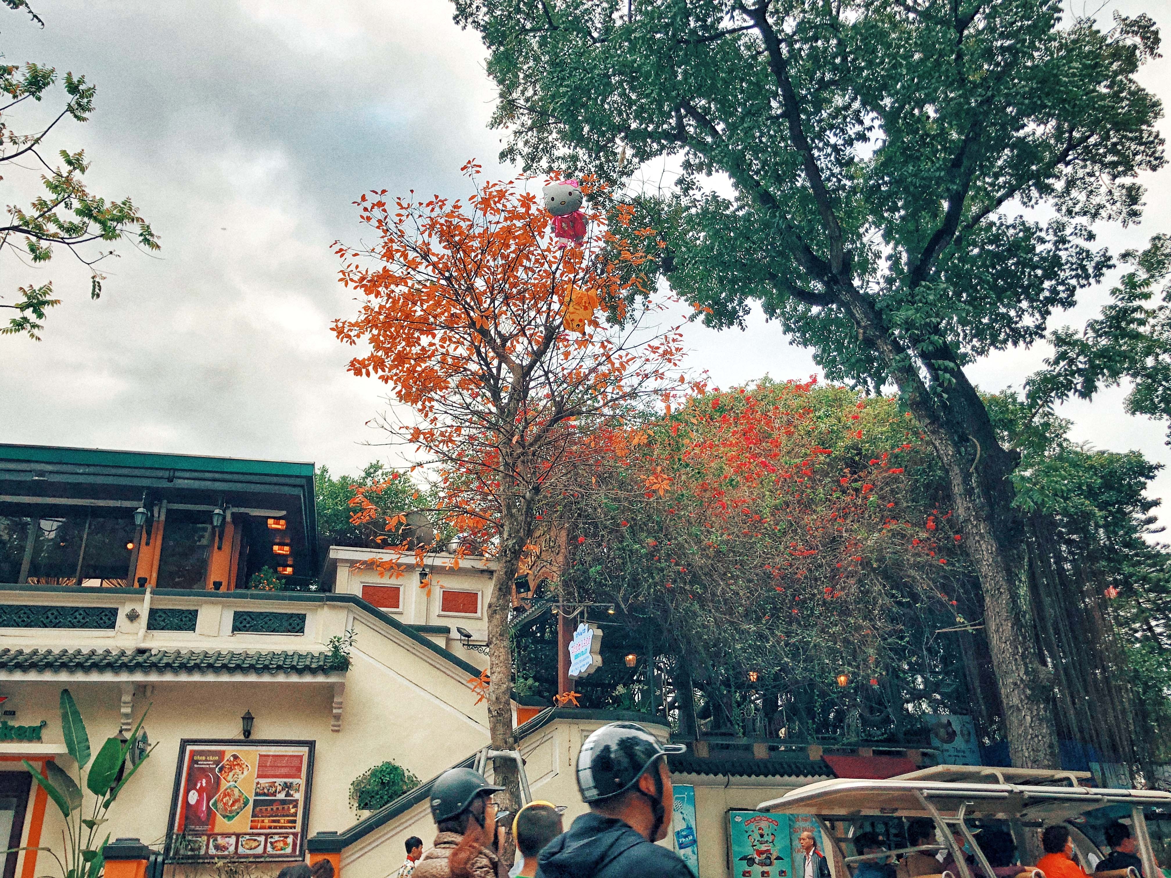 Ha Noi mua thay la anh 6