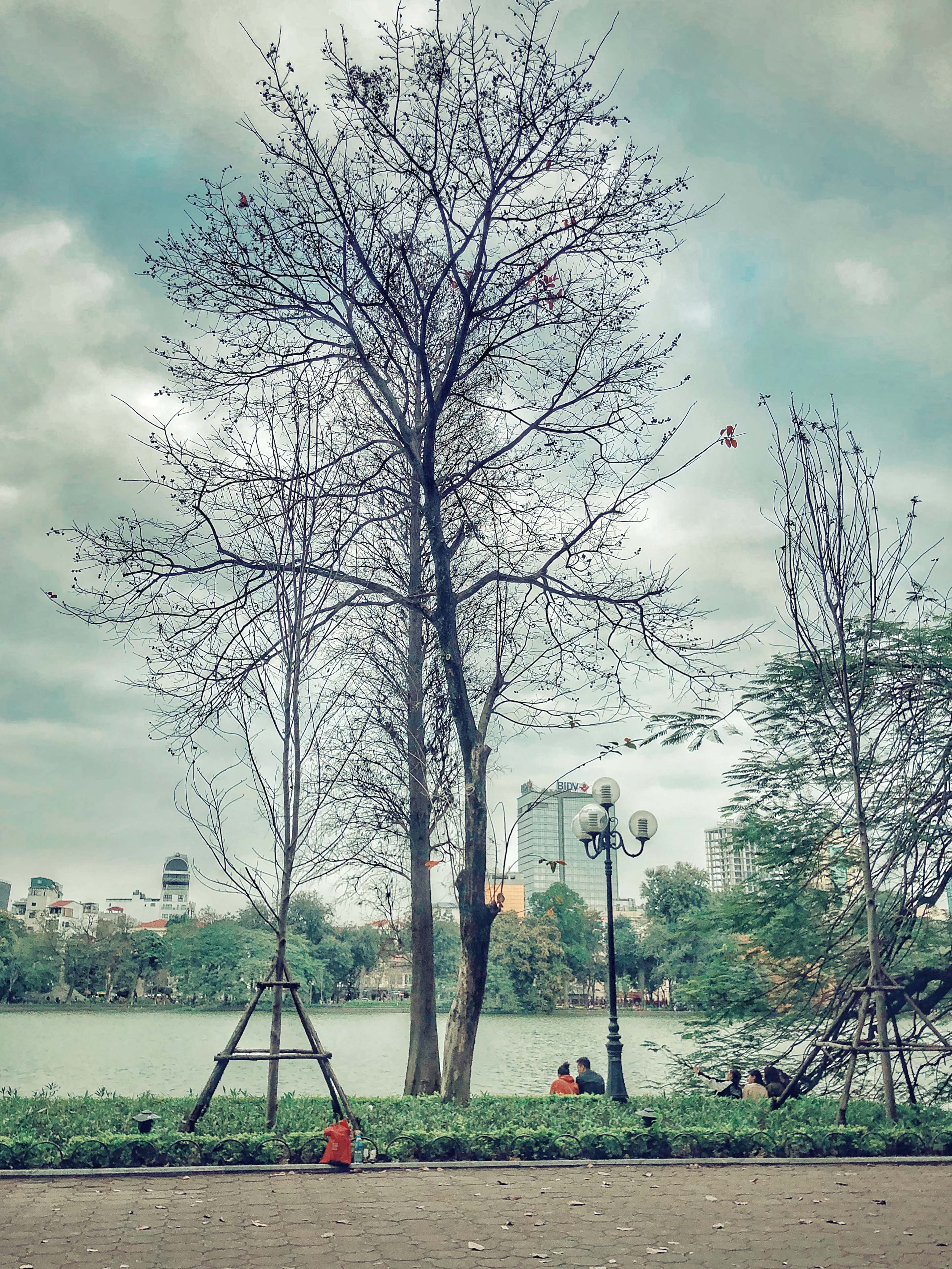 Ha Noi mua thay la anh 5