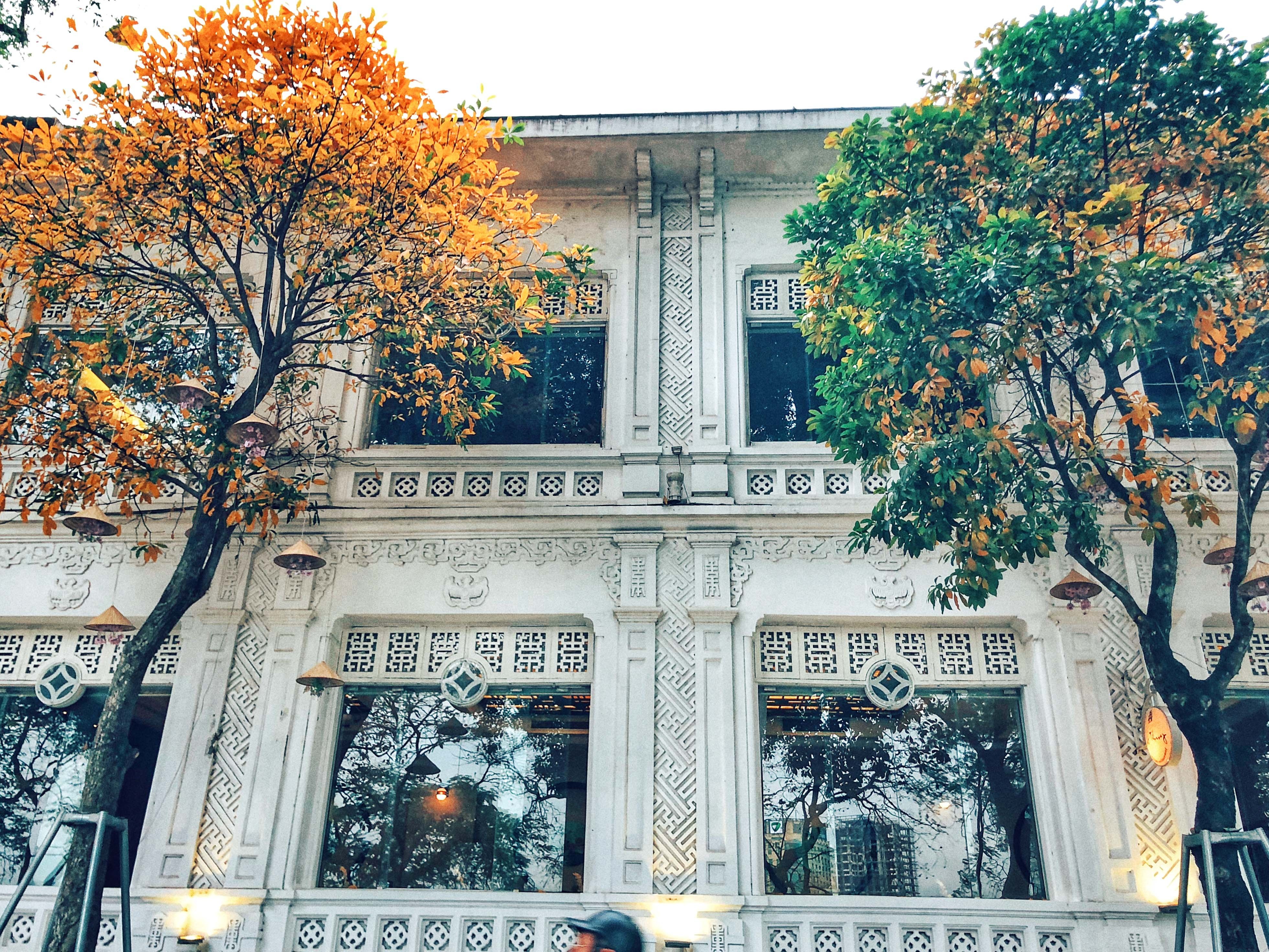 Ha Noi mua thay la anh 8