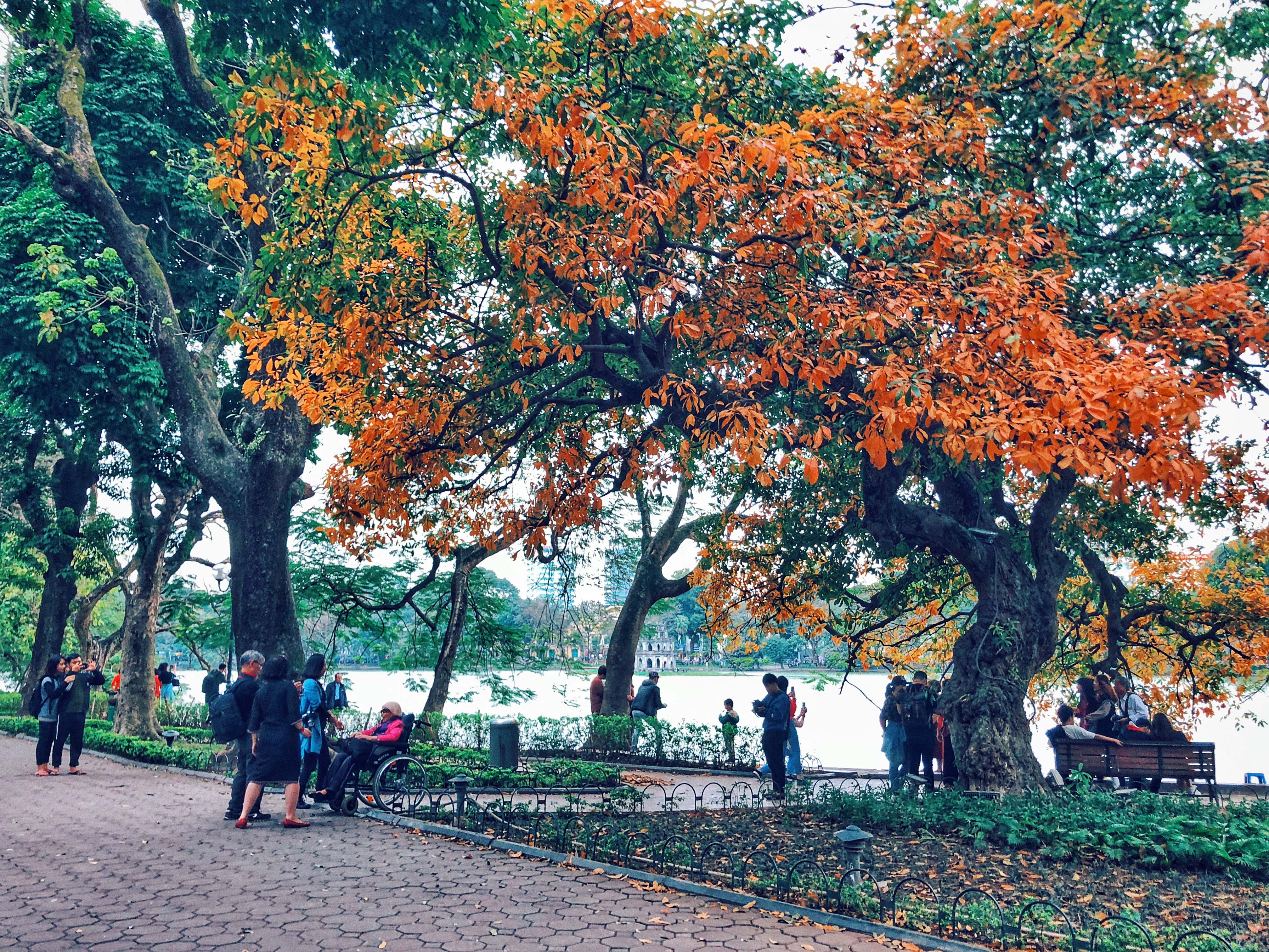 Ha Noi mua thay la anh 10