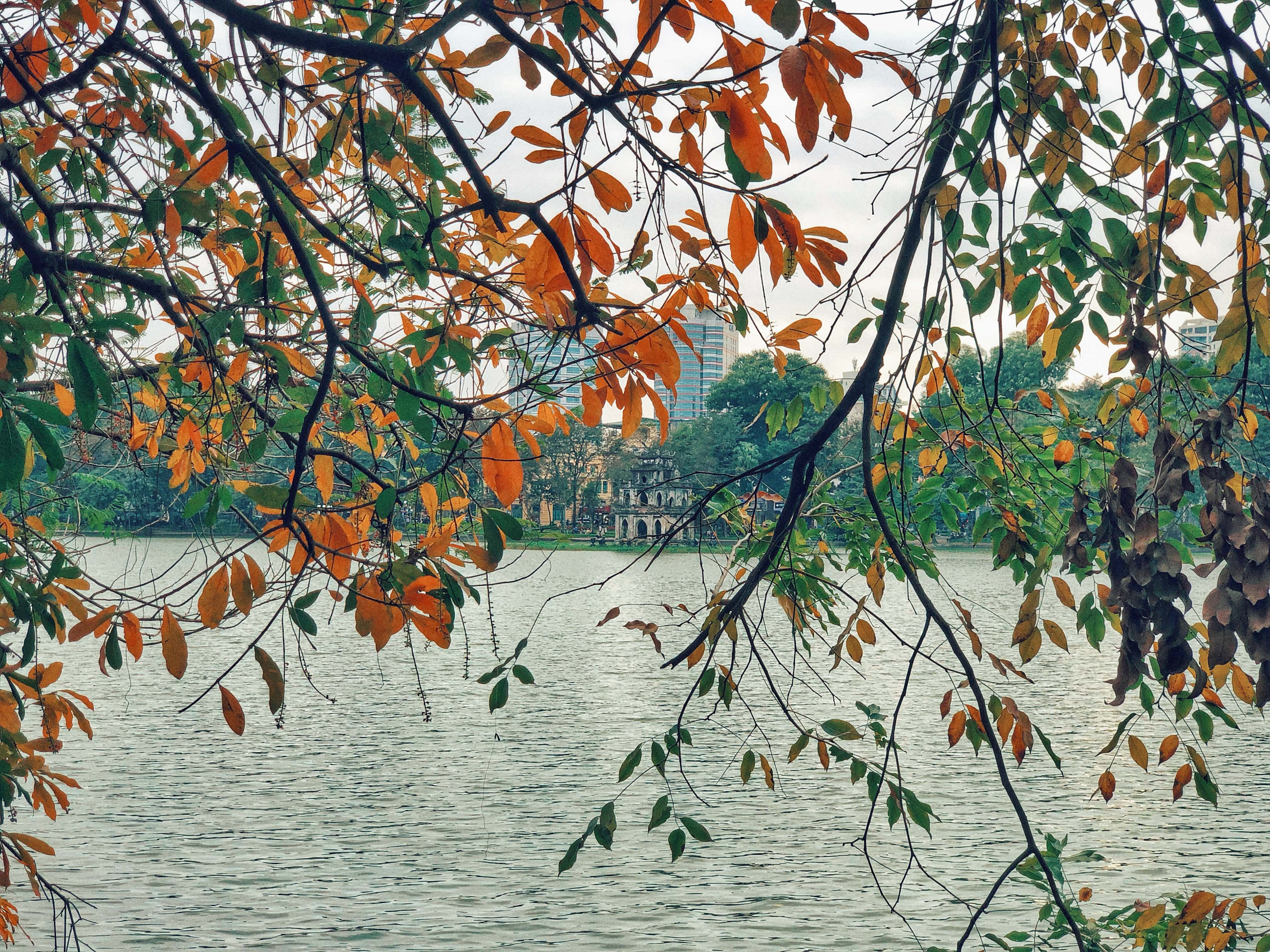 Ha Noi mua thay la anh 13