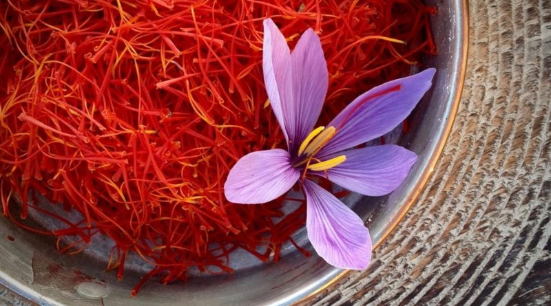 Nhuy hoa nghe tay - vang do cua nguoi An Do hinh anh