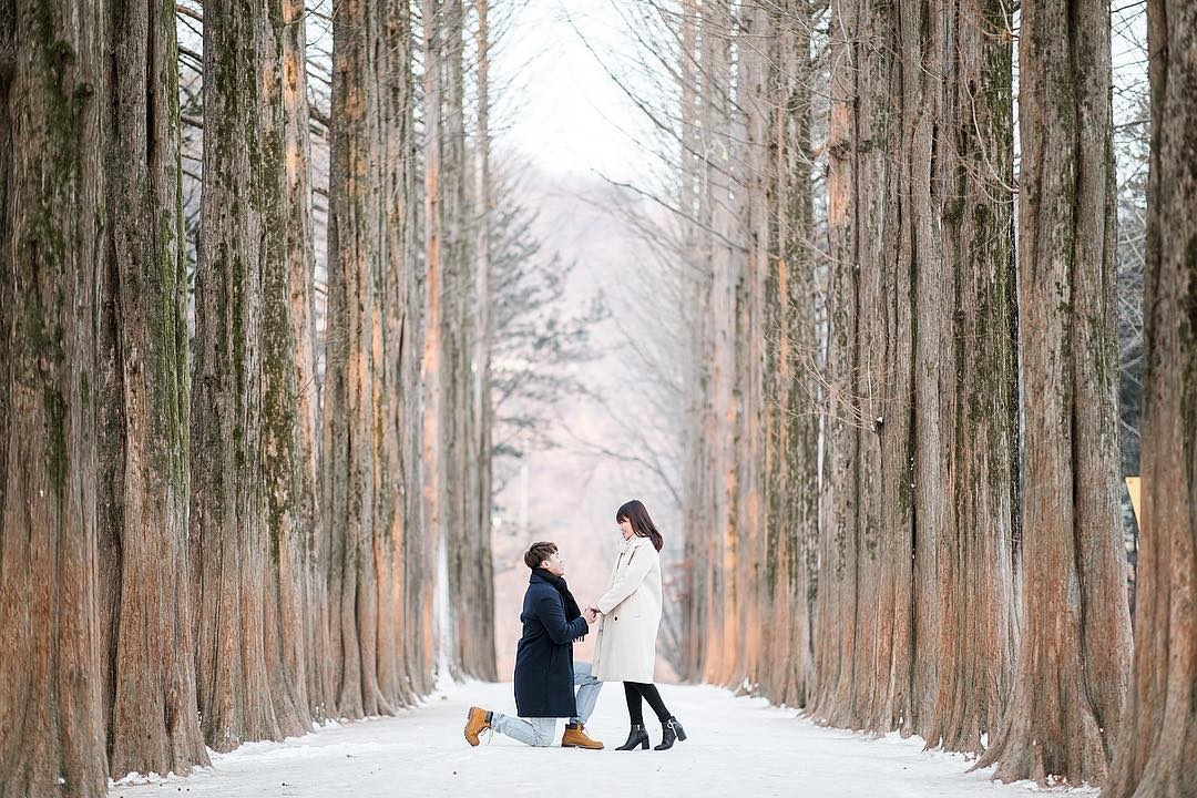 Toi Han Quoc, lac vao thien duong tinh yeu o dao Nami hinh anh