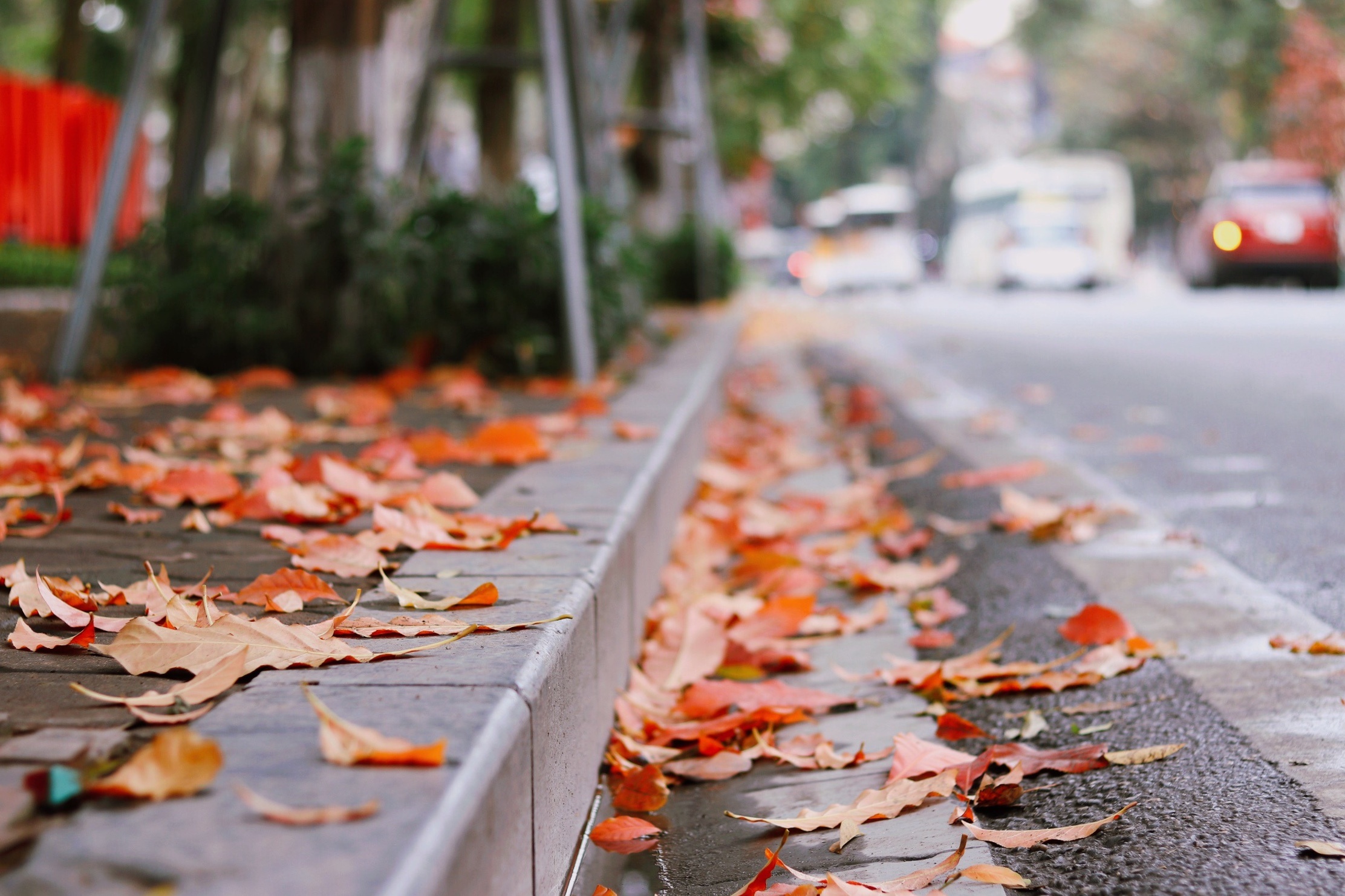 Ha Noi giao mua anh 8