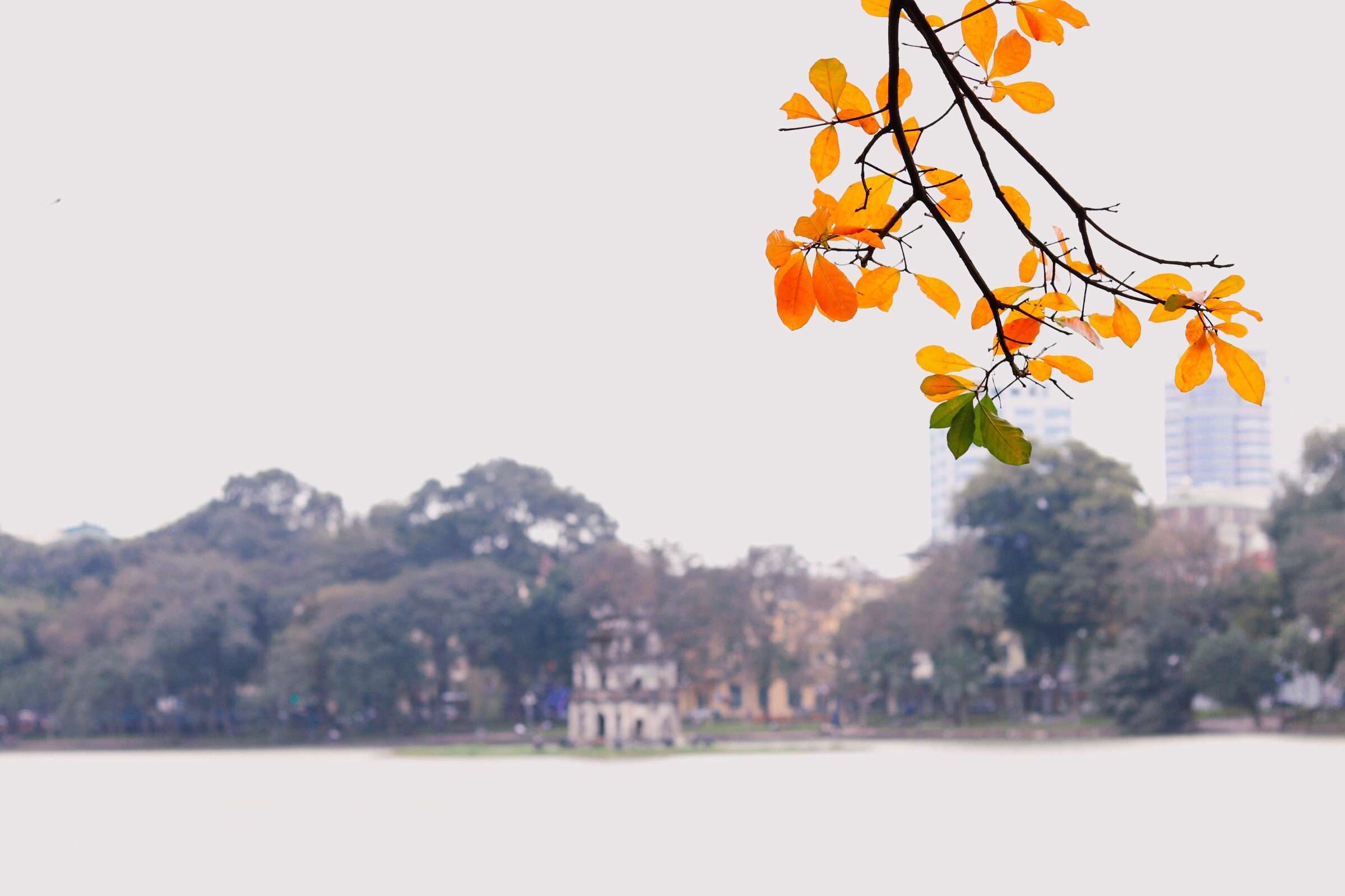 Ha Noi giao mua anh 16