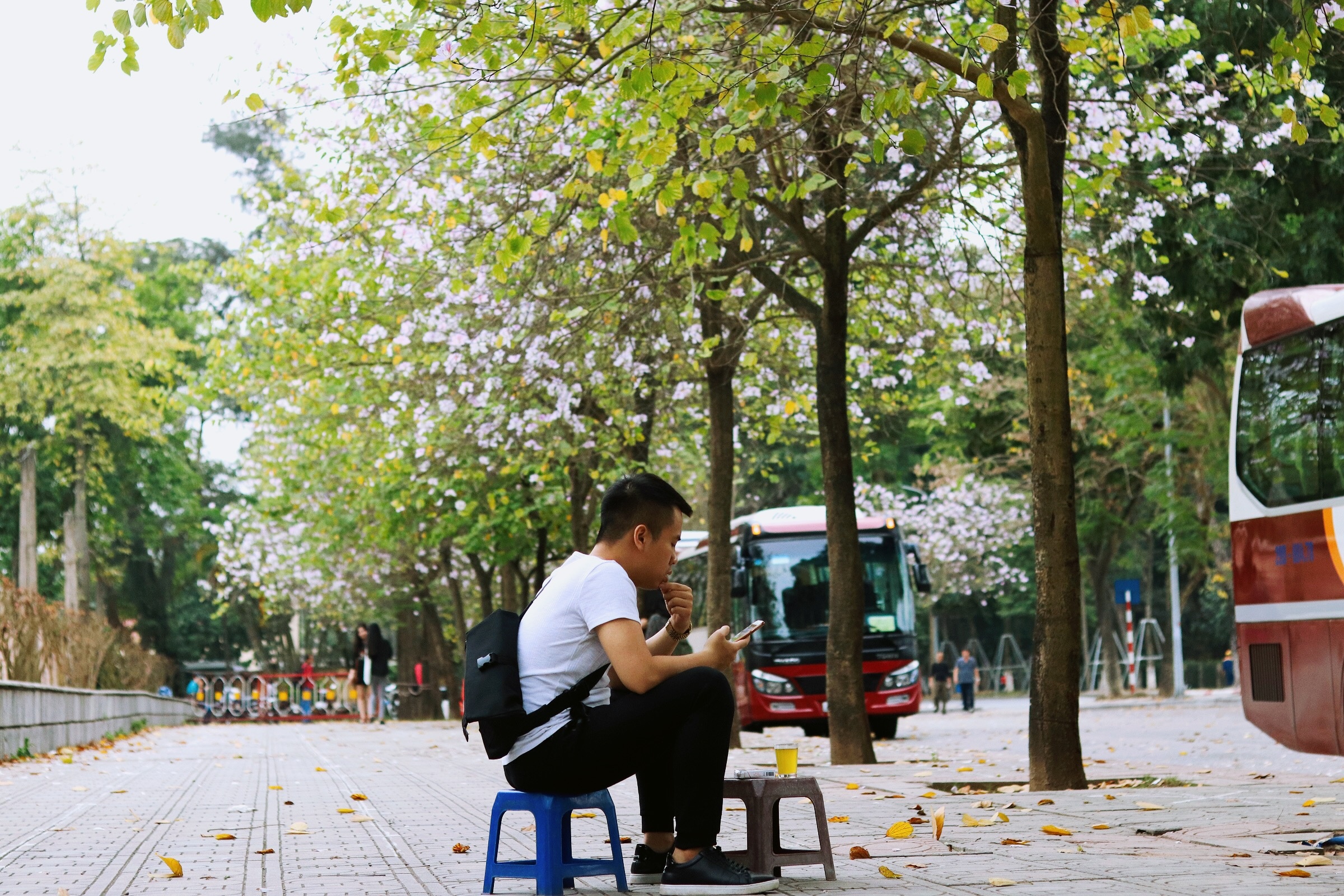 Ha Noi giao mua anh 37