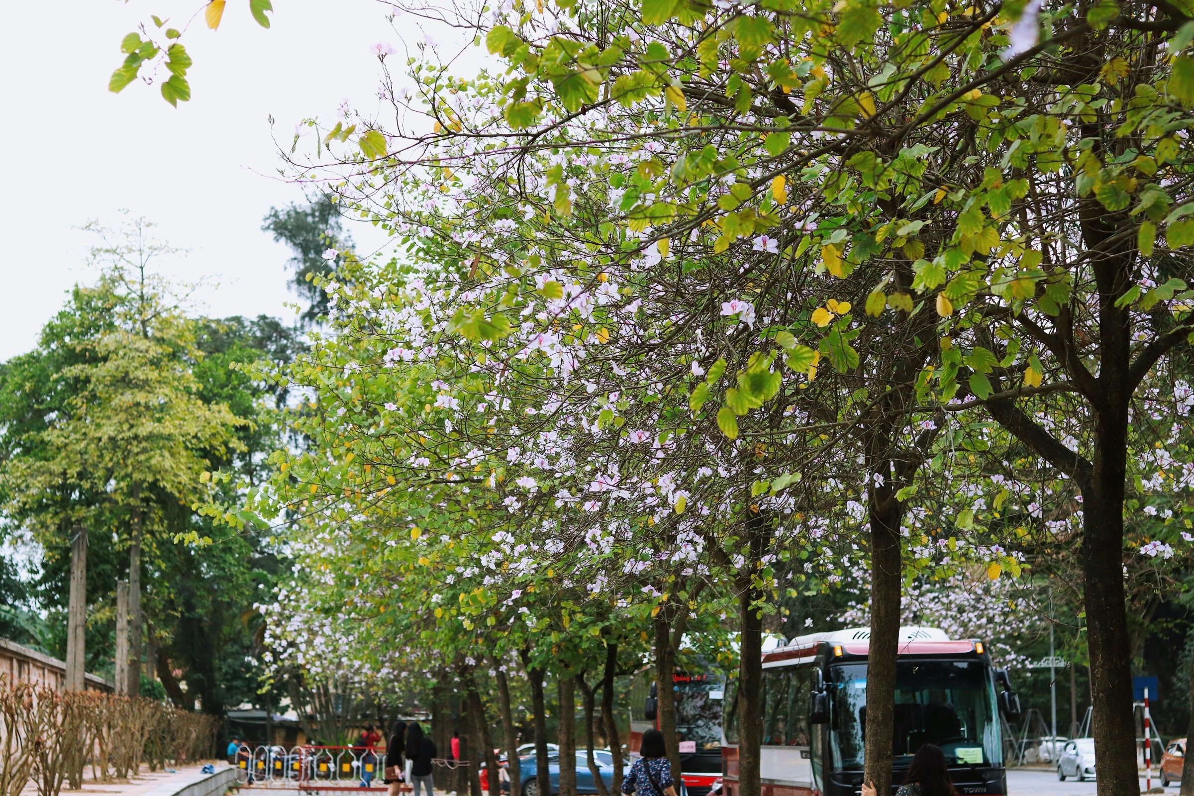 Ha Noi giao mua anh 38