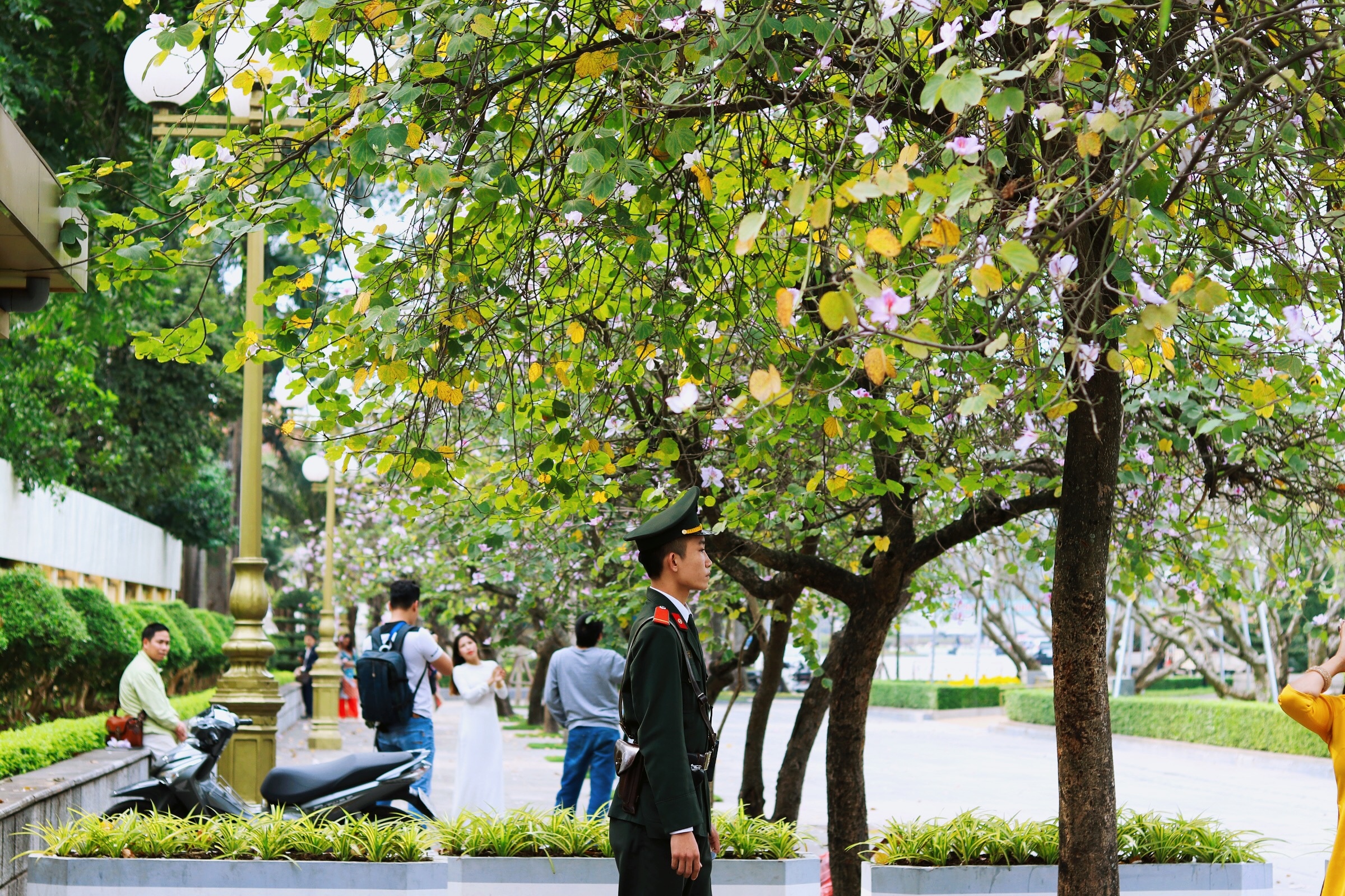 Ha Noi giao mua anh 43