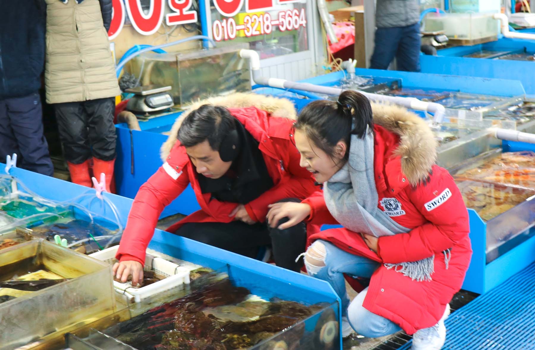 Du lich Han Quoc anh 13