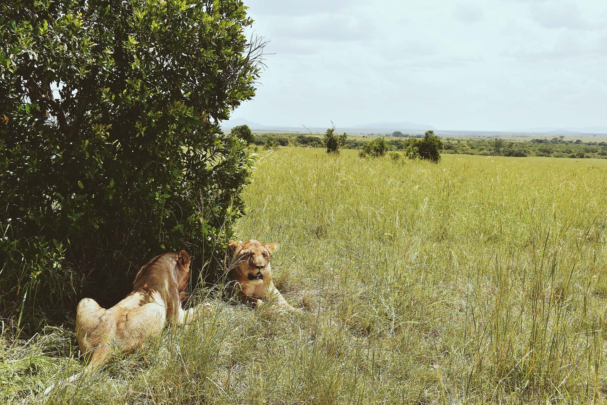 Du lich chau Phi anh 7