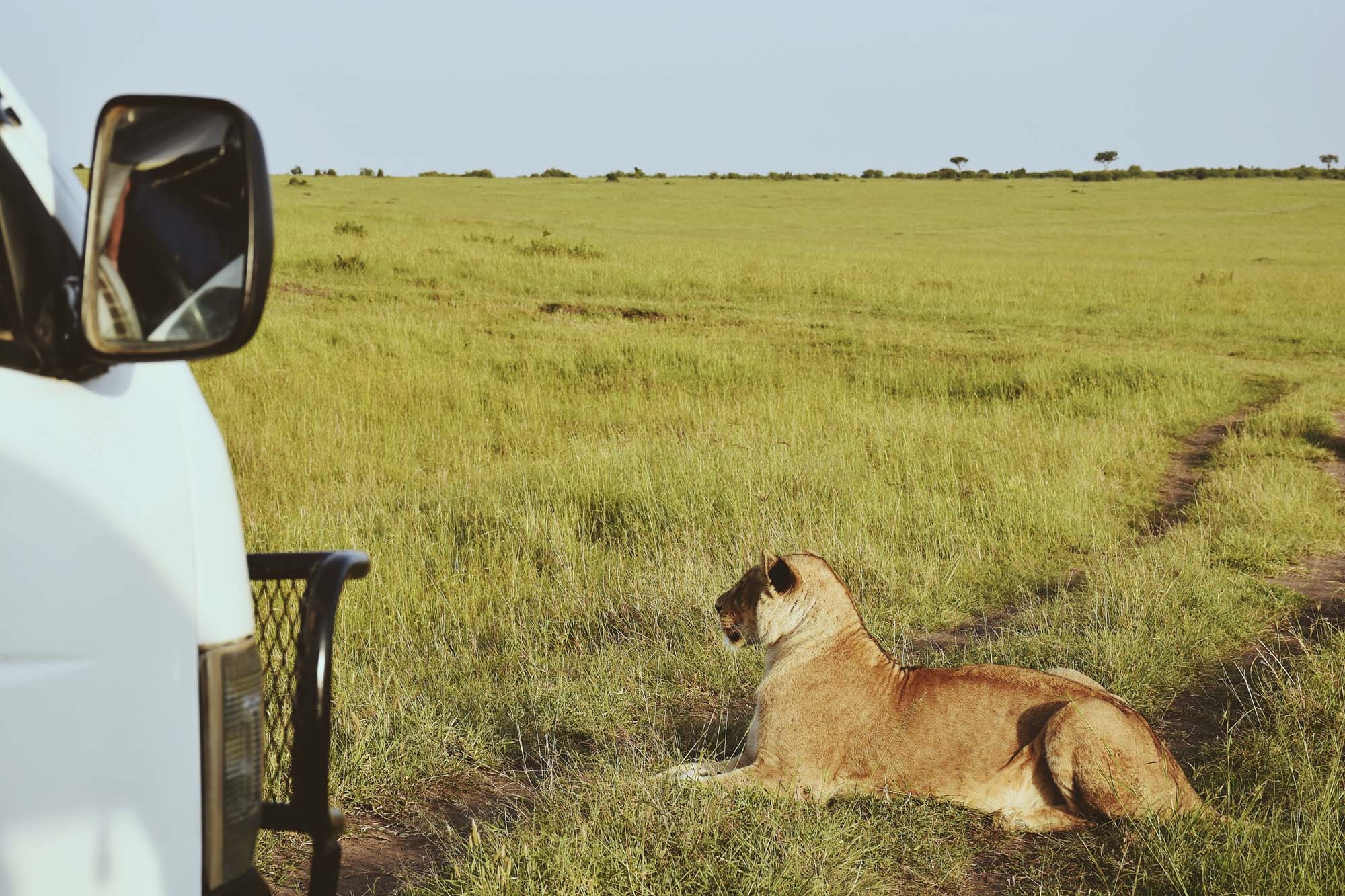 Du lich chau Phi anh 4