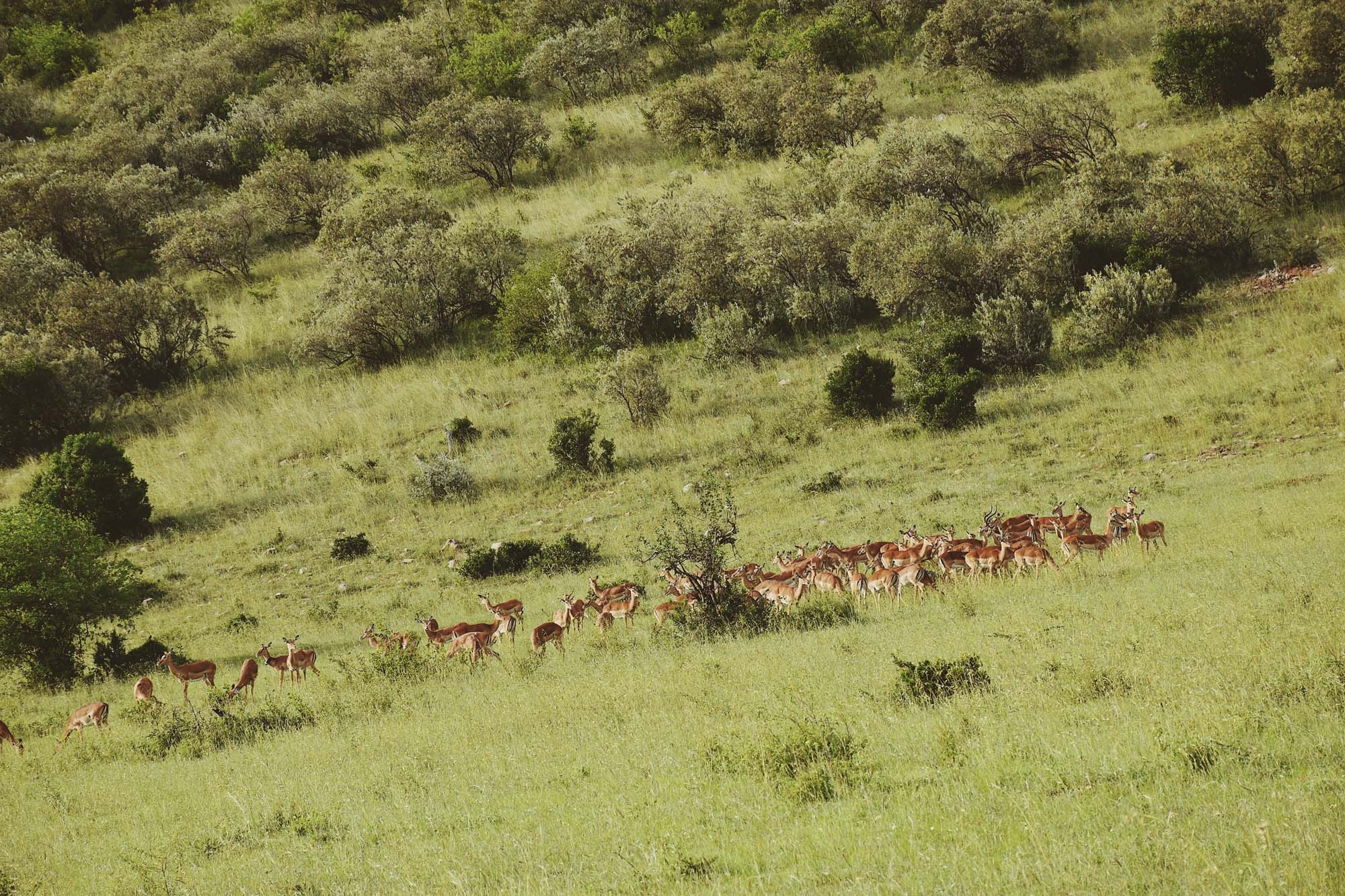 Du lich chau Phi anh 26