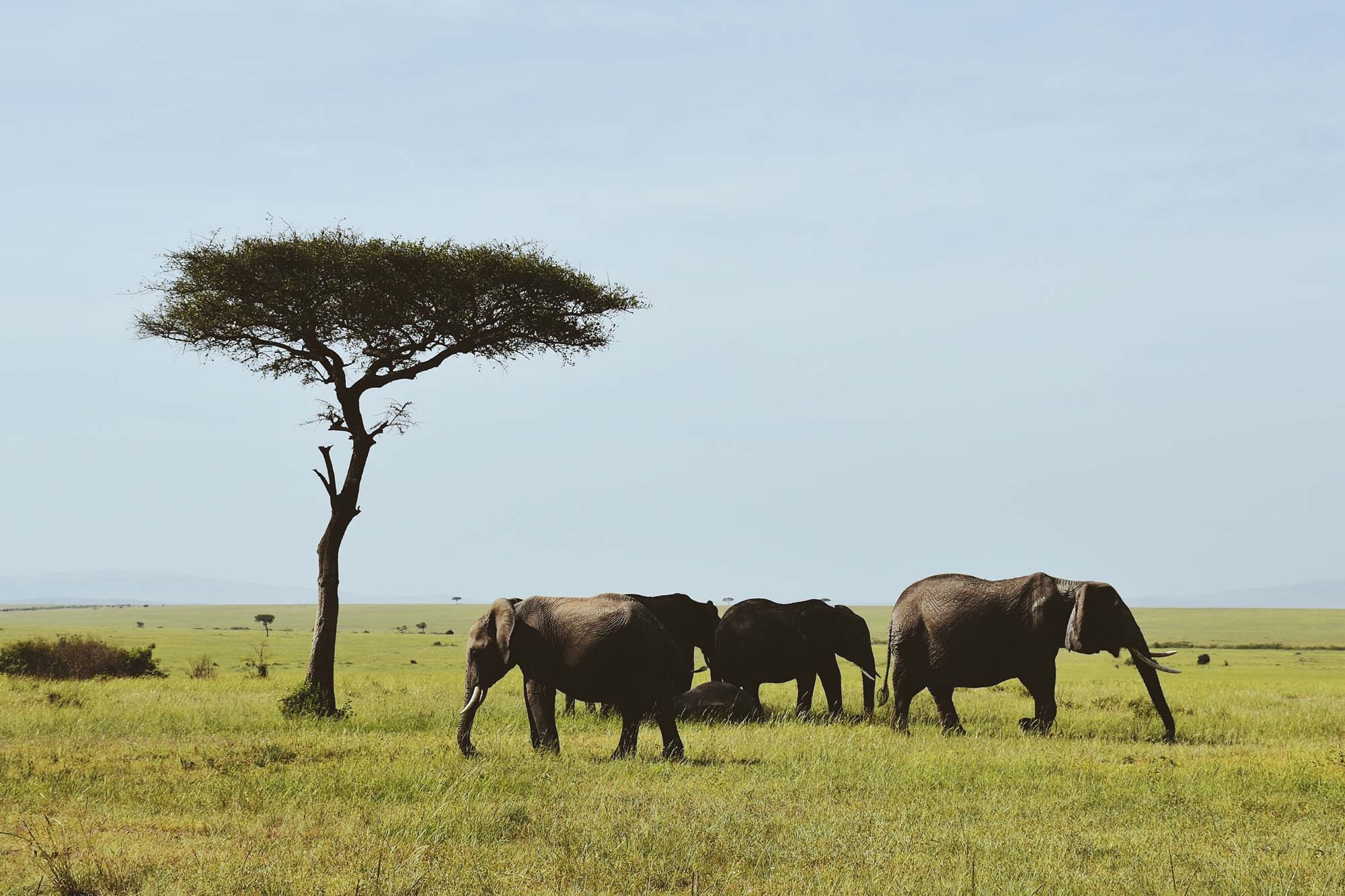 Du lich chau Phi anh 24