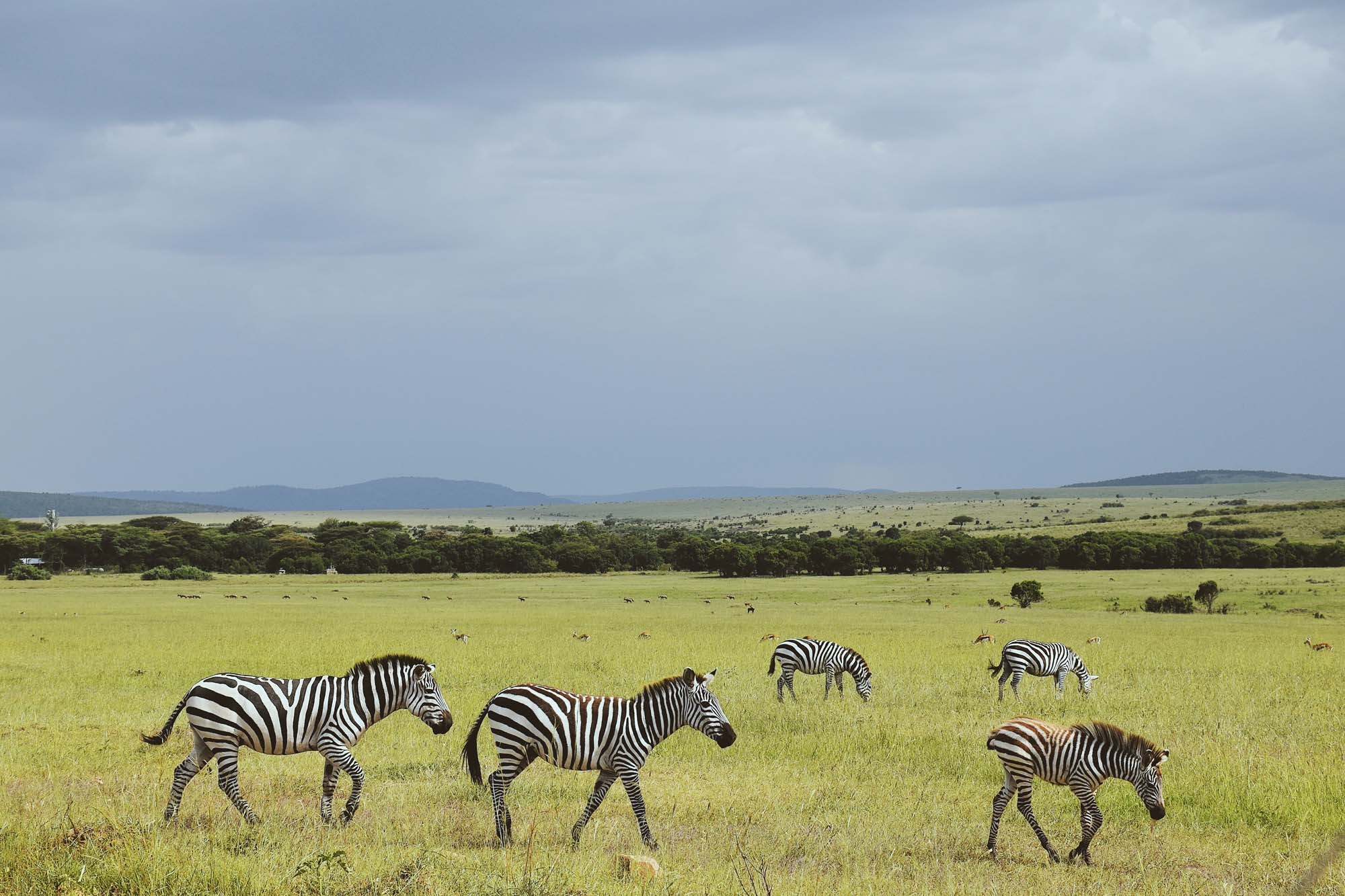 Du lich chau Phi anh 33