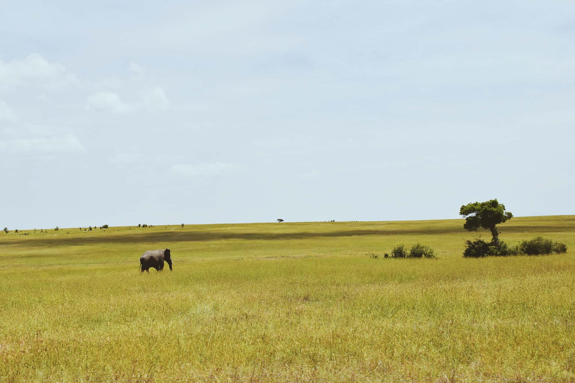 Du lich chau Phi anh 15