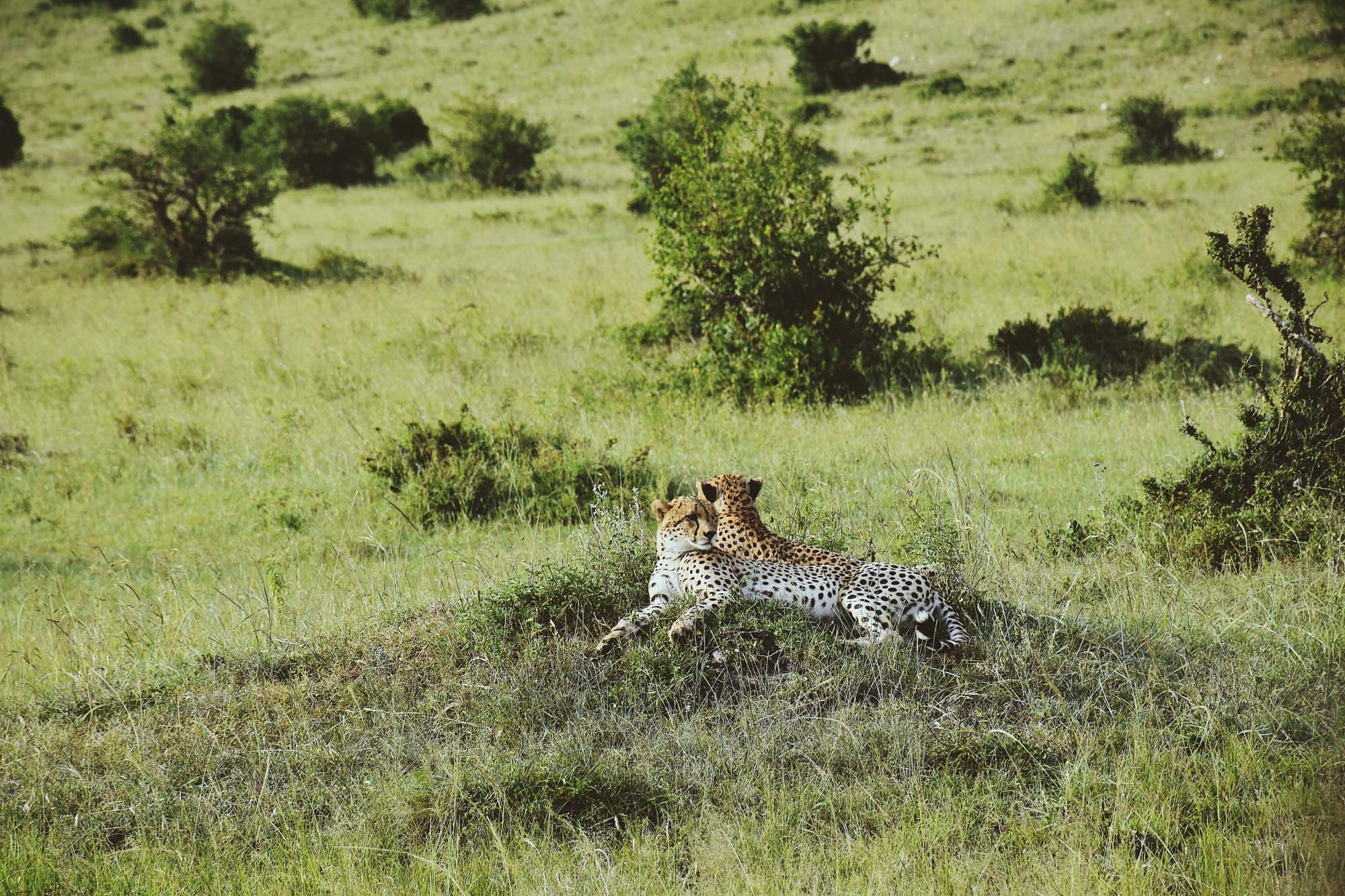 Du lich chau Phi anh 2