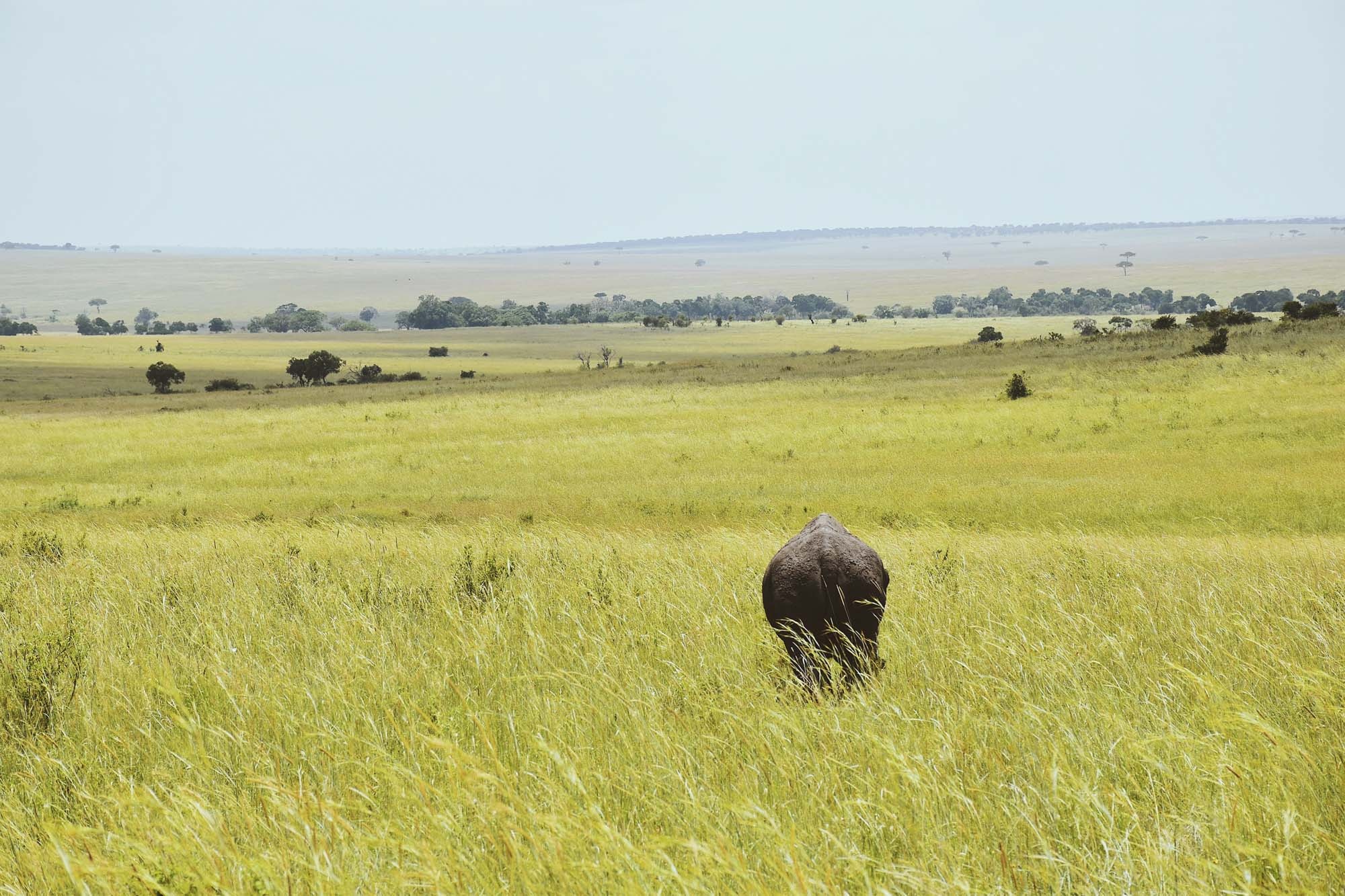 Du lich chau Phi anh 8