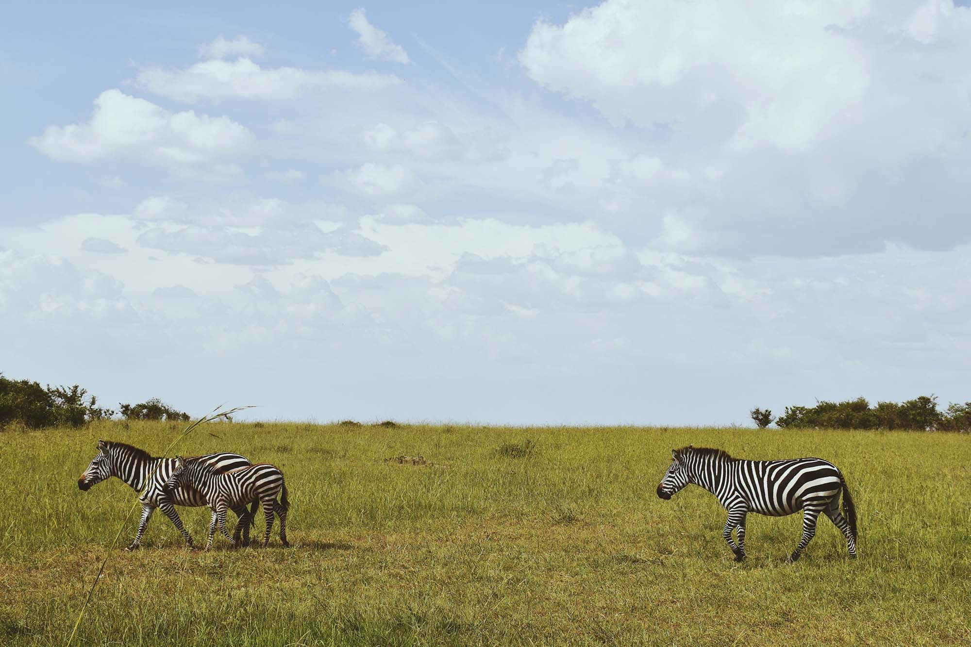 Du lich chau Phi anh 32