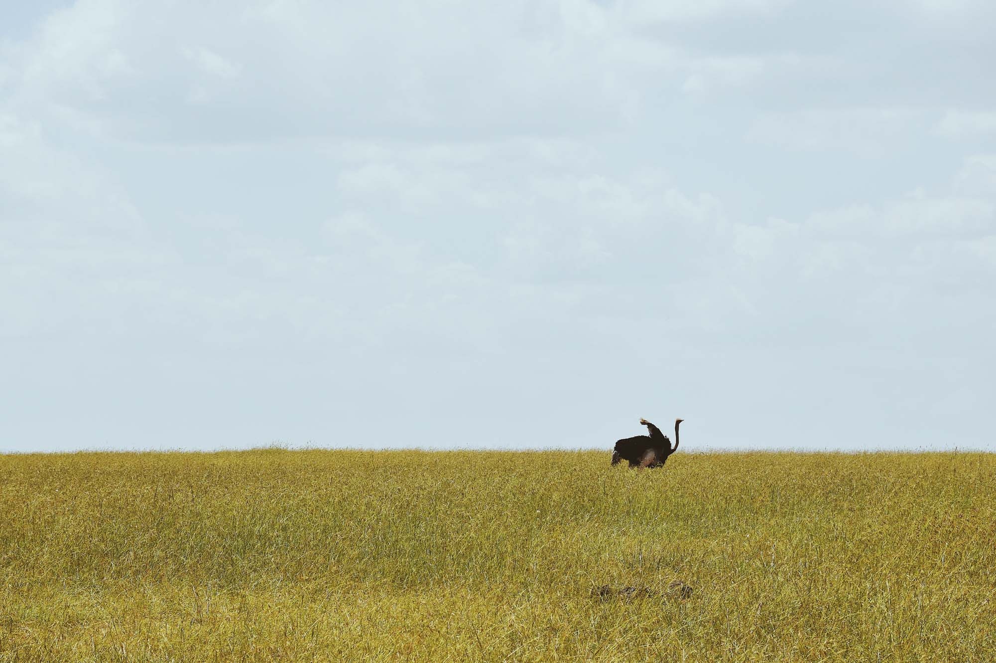 Du lich chau Phi anh 9