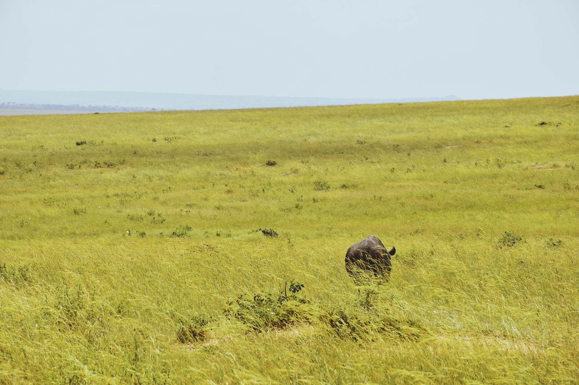 Du lich chau Phi anh 10