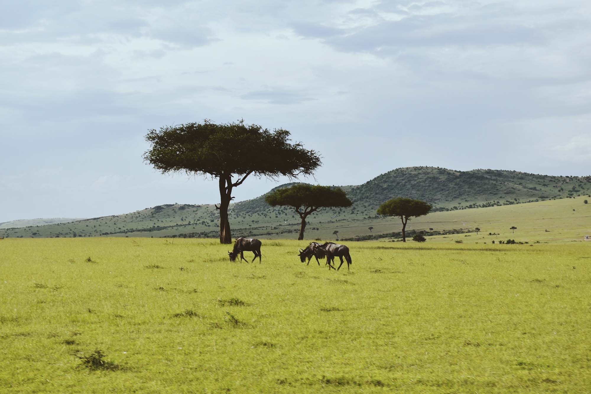 Du lich chau Phi anh 11