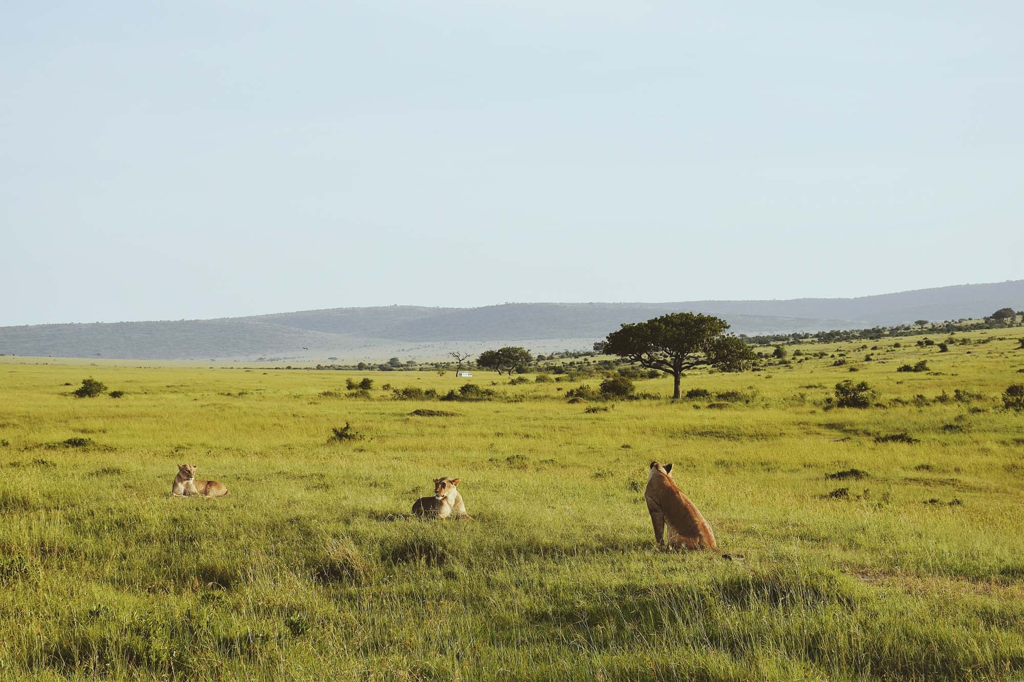 Du lich chau Phi anh 12