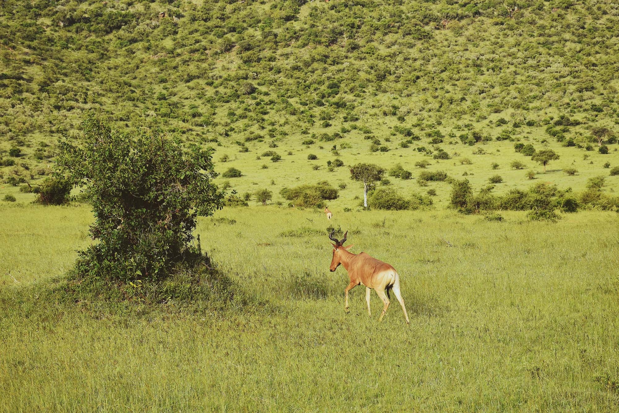 Du lich chau Phi anh 27