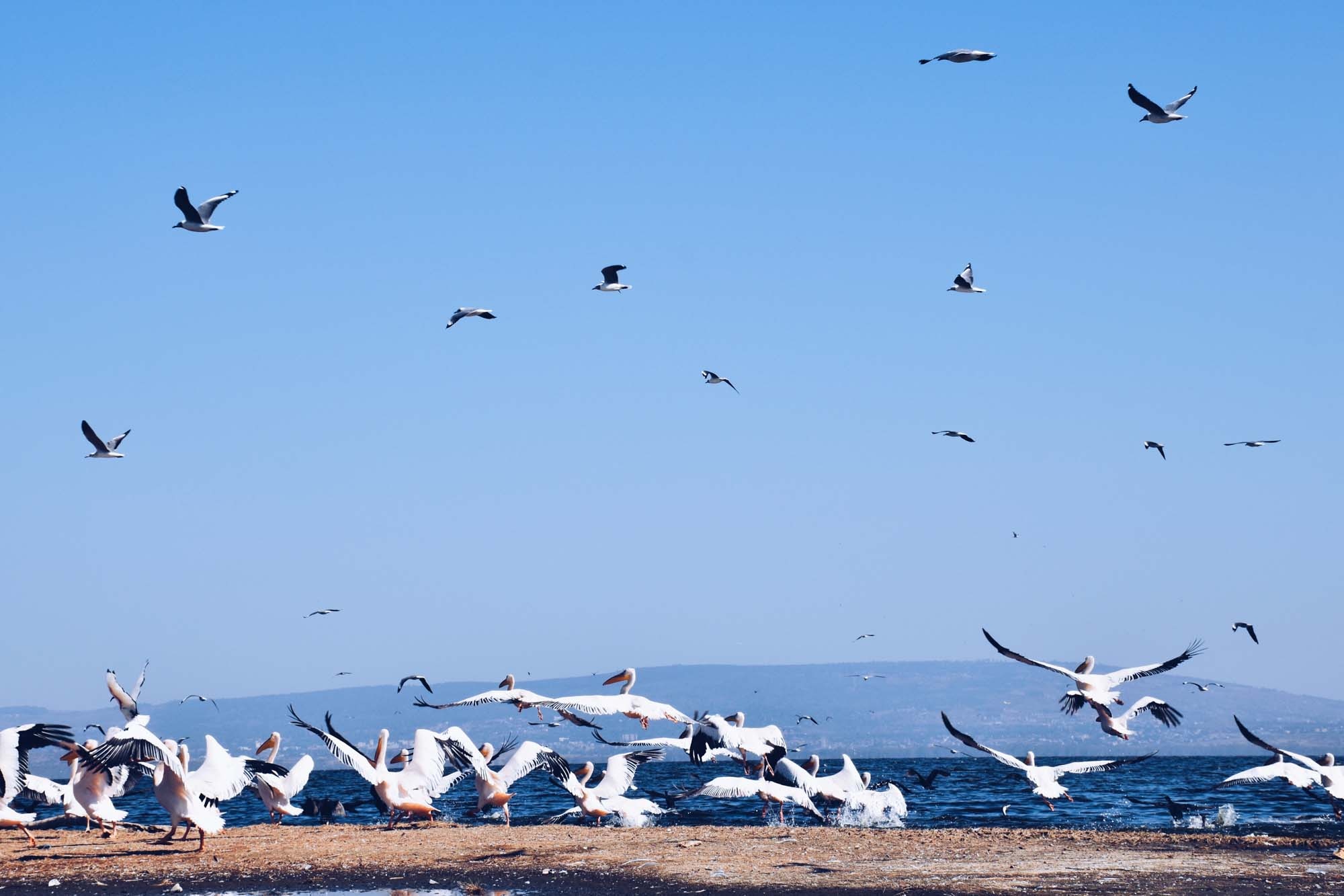 Du lich chau Phi anh 35