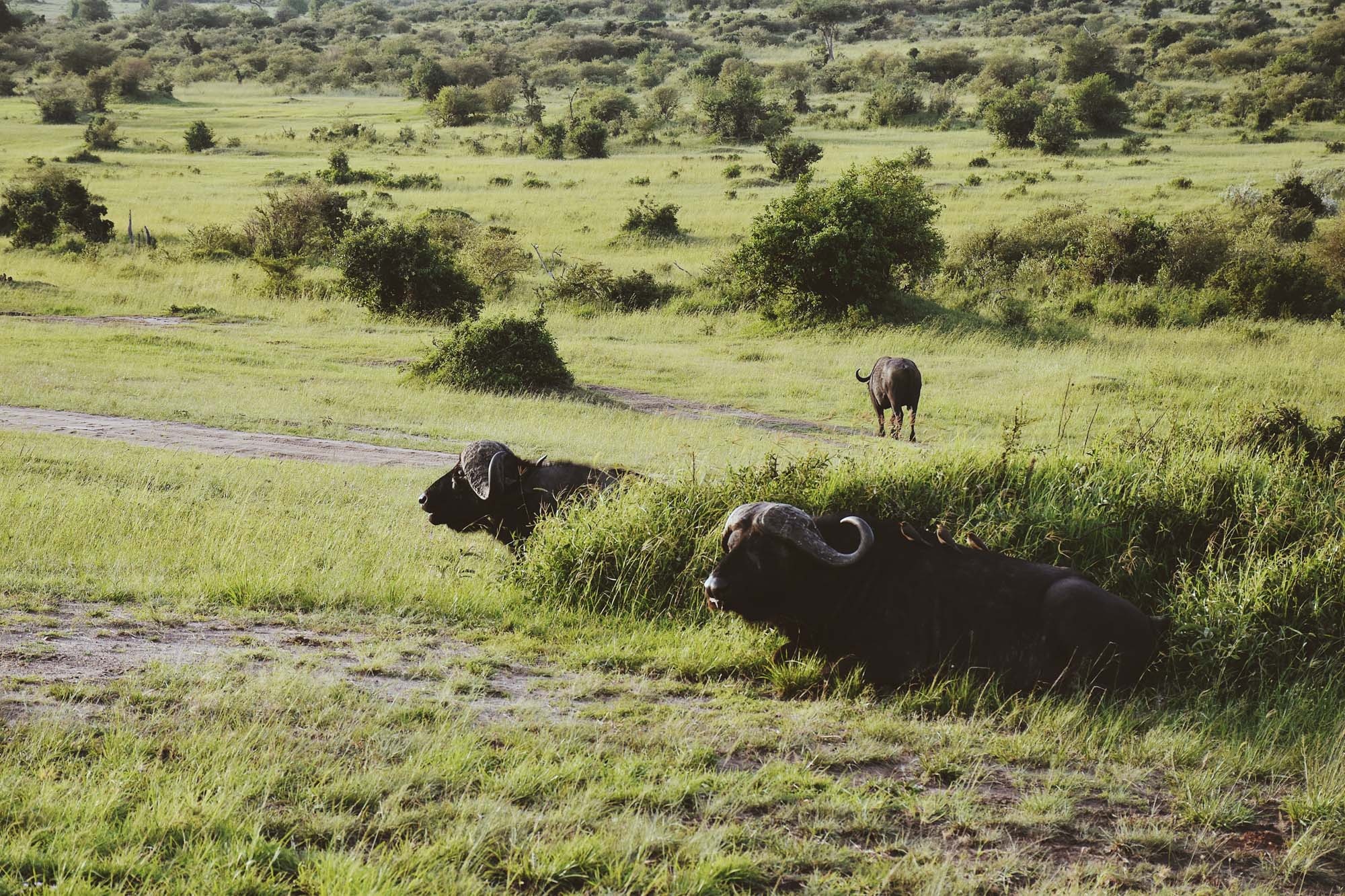 Du lich chau Phi anh 23