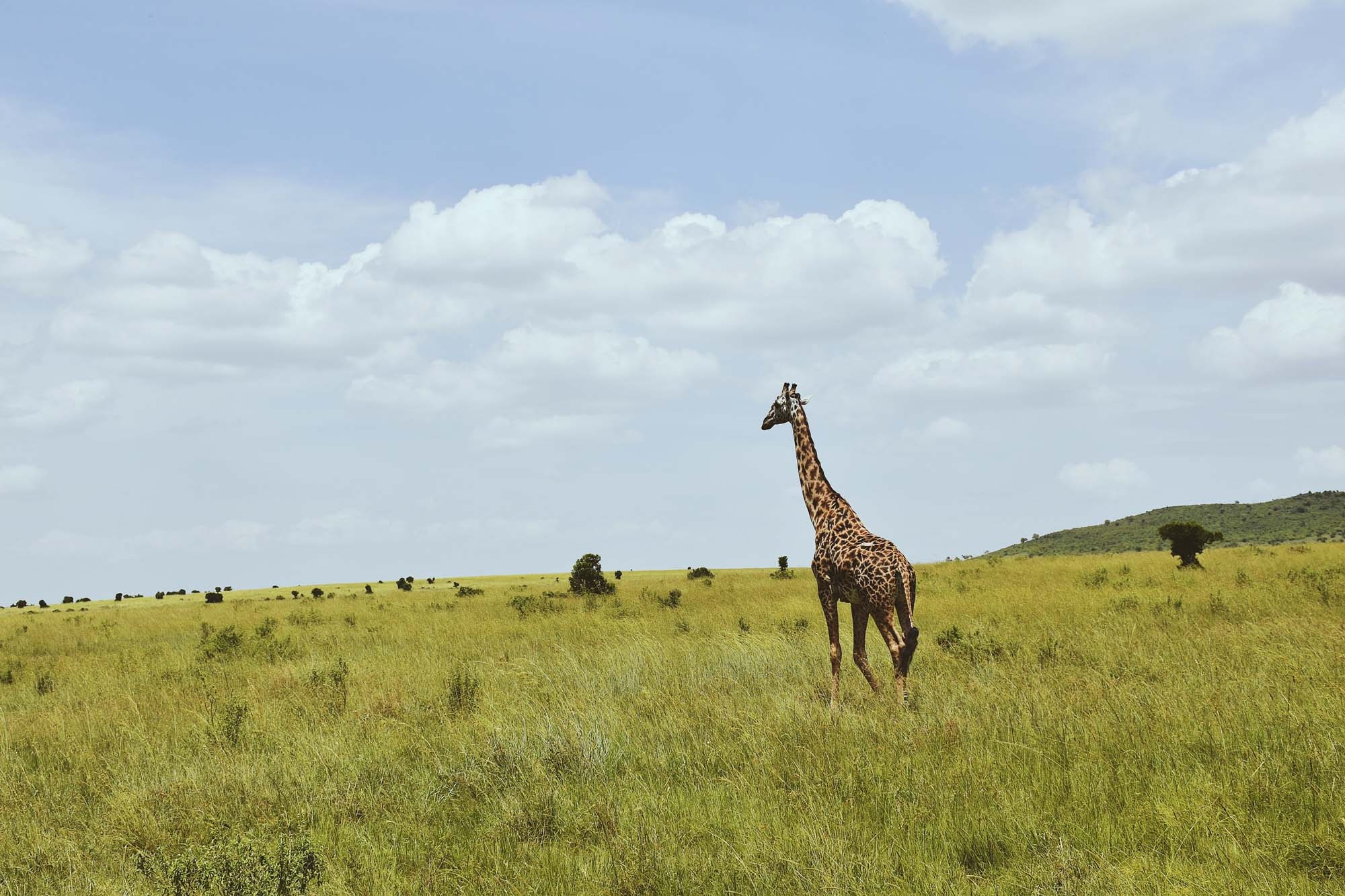 Du lich chau Phi anh 13