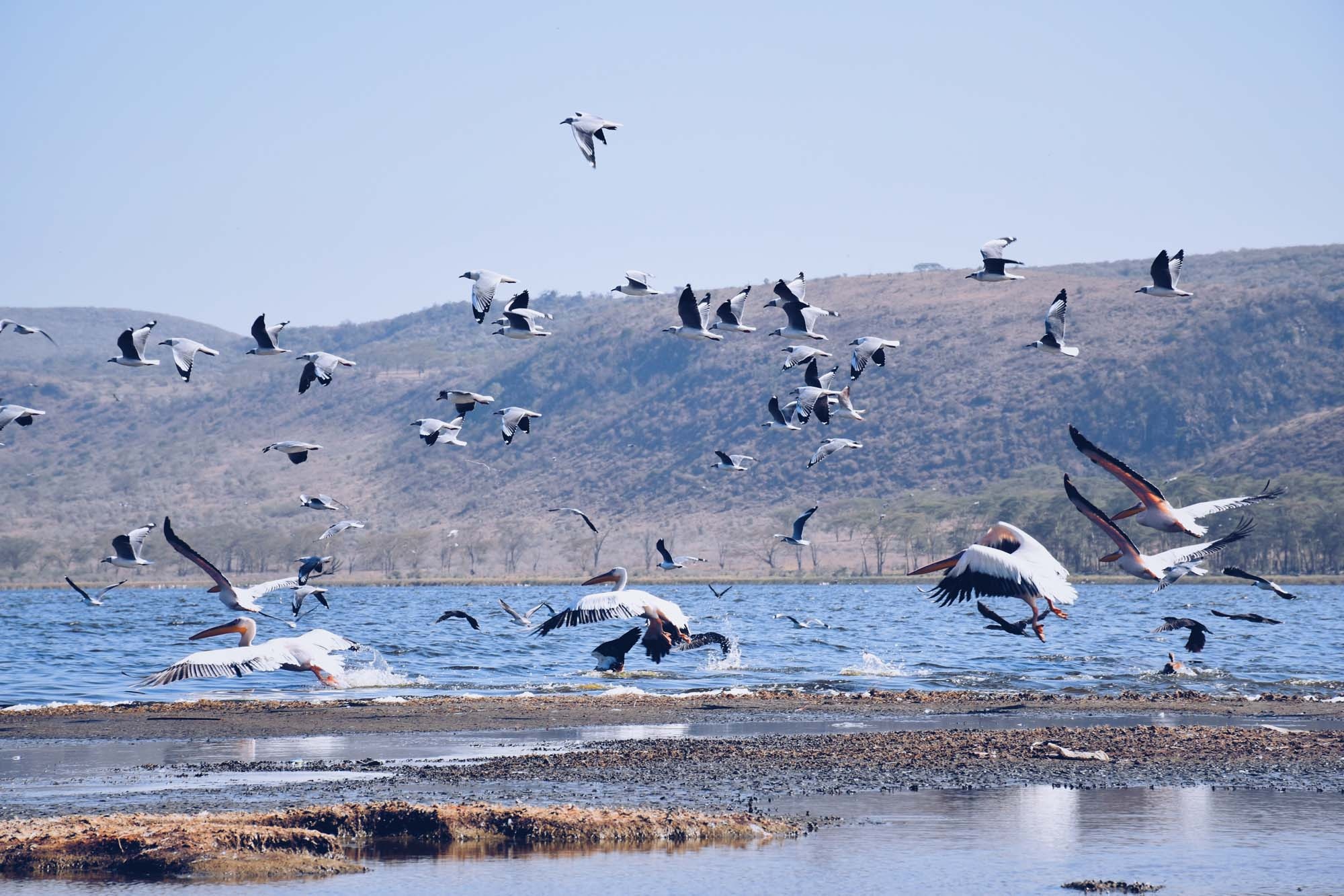 Du lich chau Phi anh 36