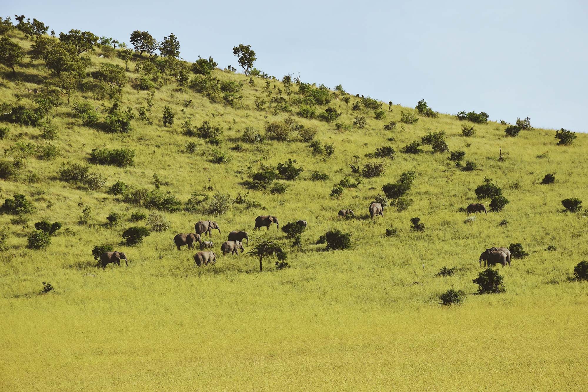 Du lich chau Phi anh 14