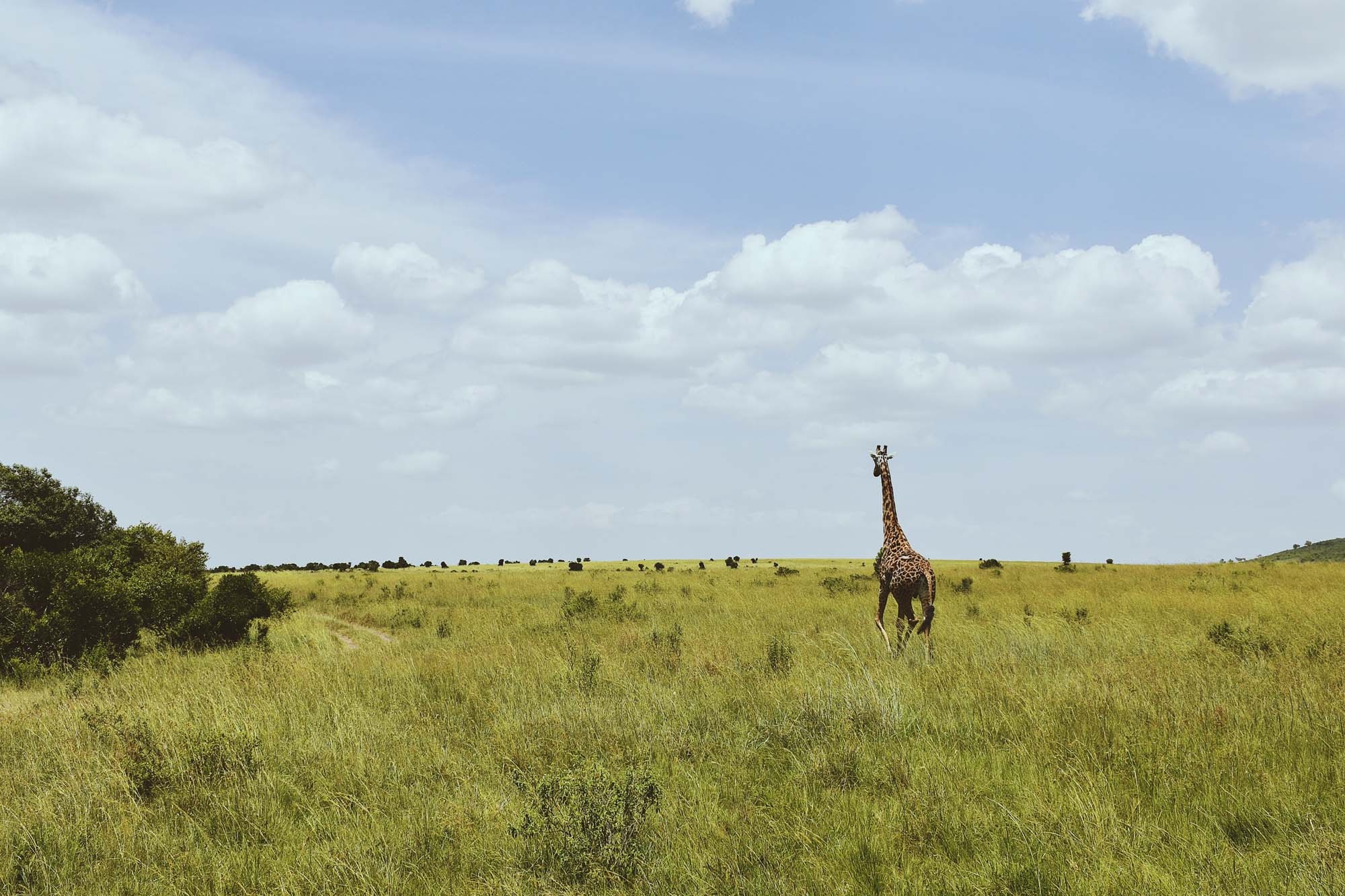 Du lich chau Phi anh 38