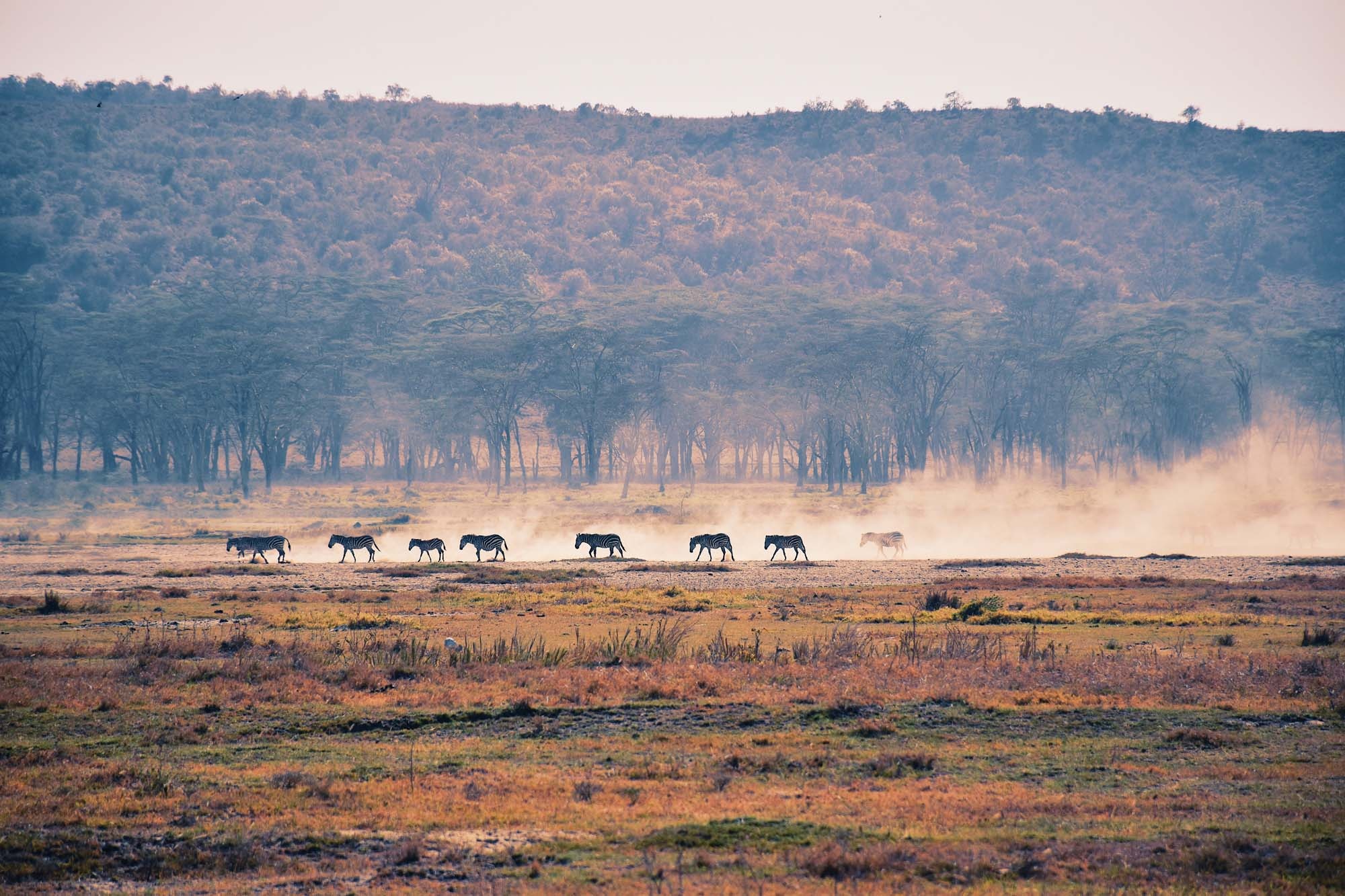 Du lich chau Phi anh 1