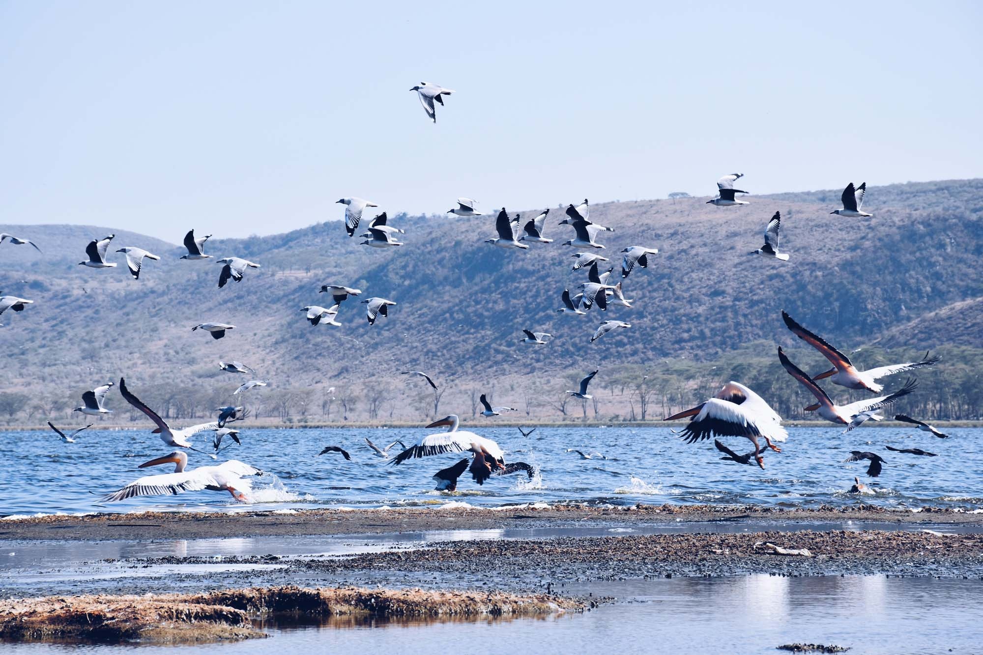 Du lich chau Phi anh 22